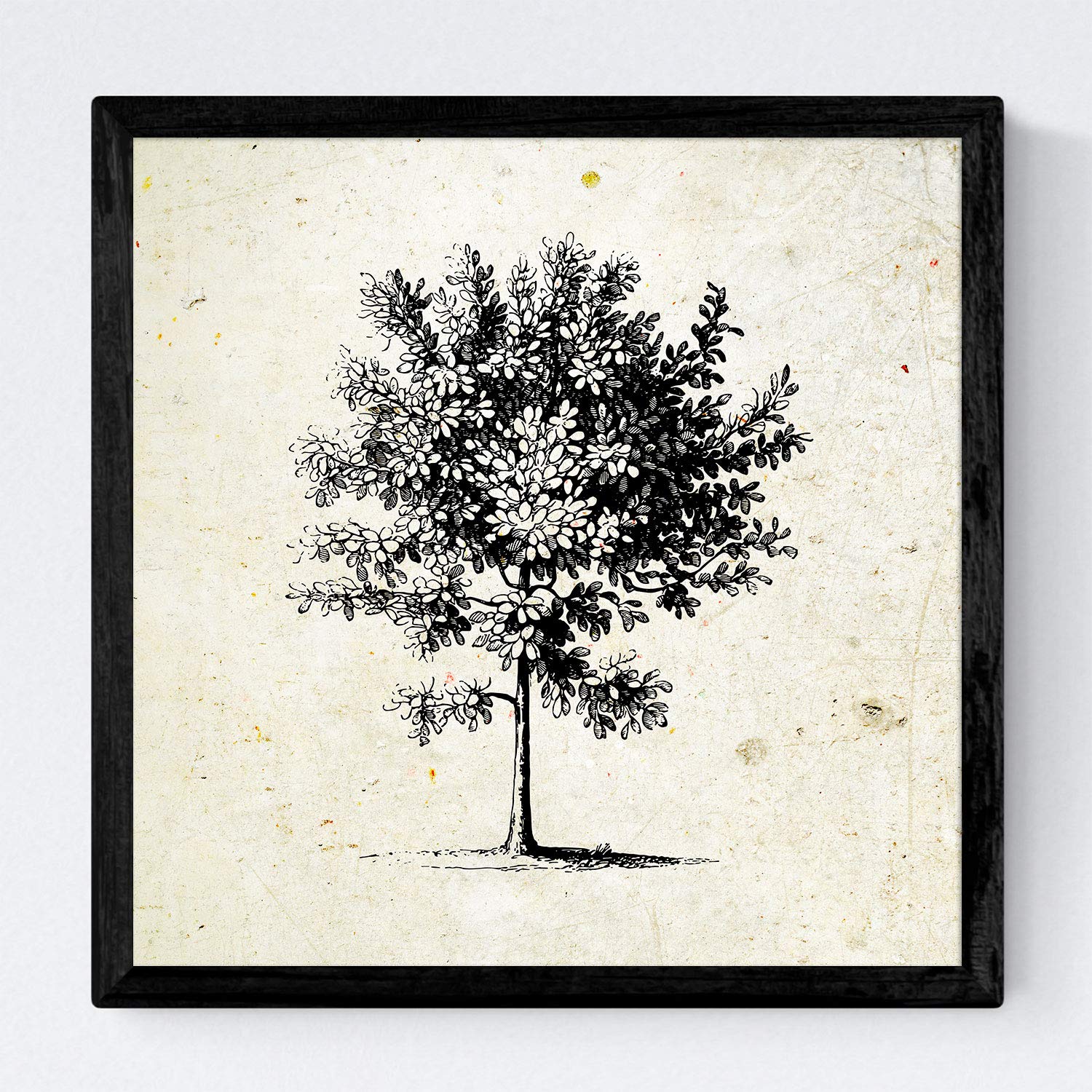 Set de cuatro láminas de arboles. Arboles medianos en cm, fondo papel antiguo vintage.-Artwork-Nacnic-Nacnic Estudio SL