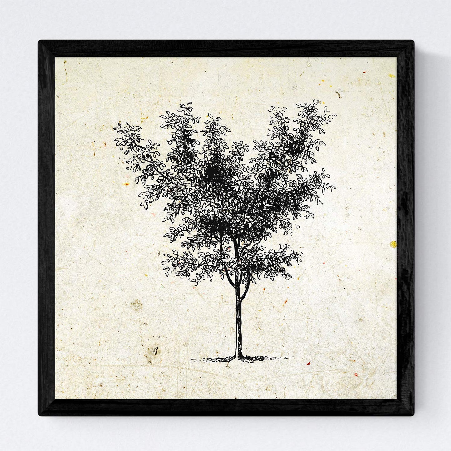Set de cuatro láminas de arboles. Arboles medianos en cm, fondo papel antiguo vintage.-Artwork-Nacnic-Nacnic Estudio SL