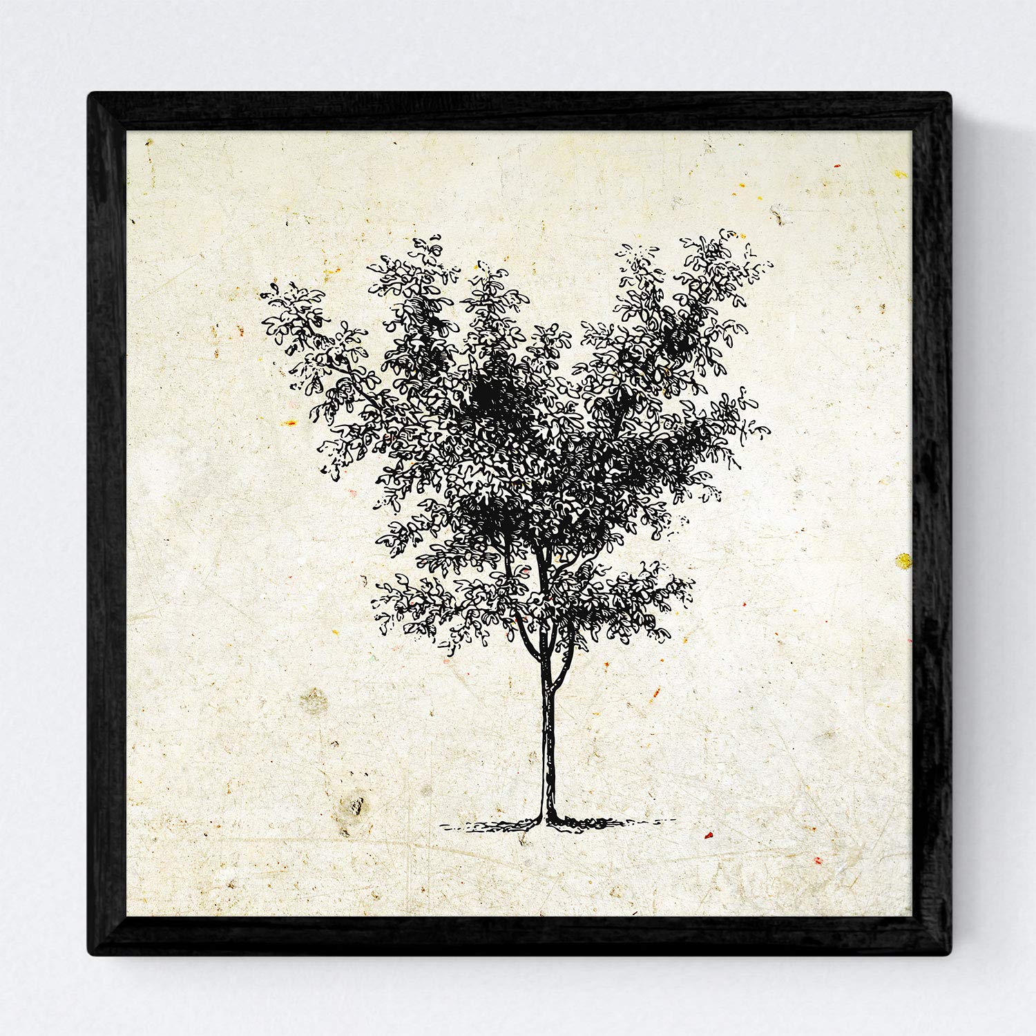 Set de cuatro láminas de arboles. Arboles medianos en cm, fondo papel antiguo vintage.-Artwork-Nacnic-Nacnic Estudio SL