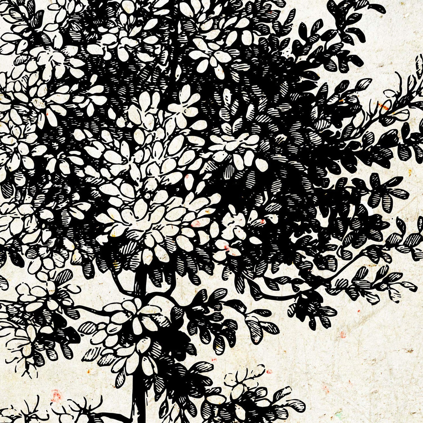Set de cuatro láminas de arboles. Arboles medianos en cm, fondo papel antiguo vintage.-Artwork-Nacnic-Nacnic Estudio SL