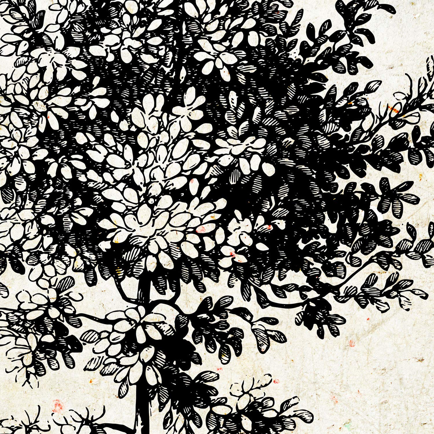Set de cuatro láminas de arboles. Arboles medianos en cm, fondo papel antiguo vintage.-Artwork-Nacnic-Nacnic Estudio SL