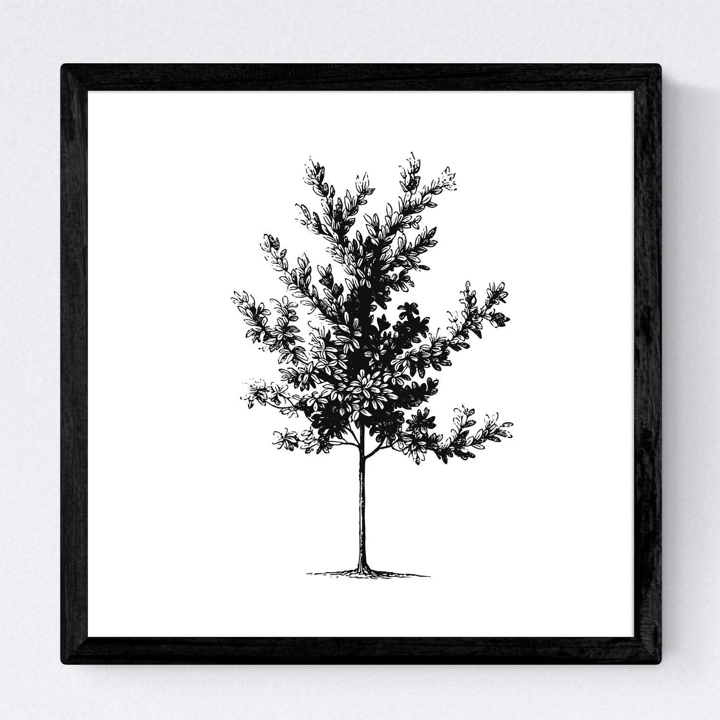 Set de cuatro láminas de arboles. Arboles medianos tronco fino en cm, fondo blanco.-Artwork-Nacnic-Nacnic Estudio SL