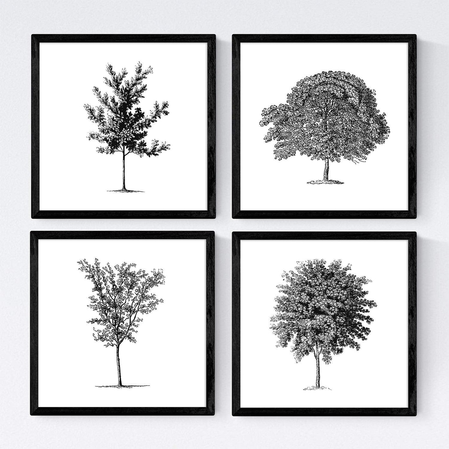 Set de cuatro láminas de arboles. Arboles medianos tronco fino en cm, fondo blanco.-Artwork-Nacnic-Nacnic Estudio SL