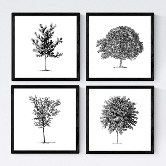 Set de cuatro láminas de arboles. Arboles medianos tronco fino en cm, fondo blanco.-Artwork-Nacnic-Nacnic Estudio SL