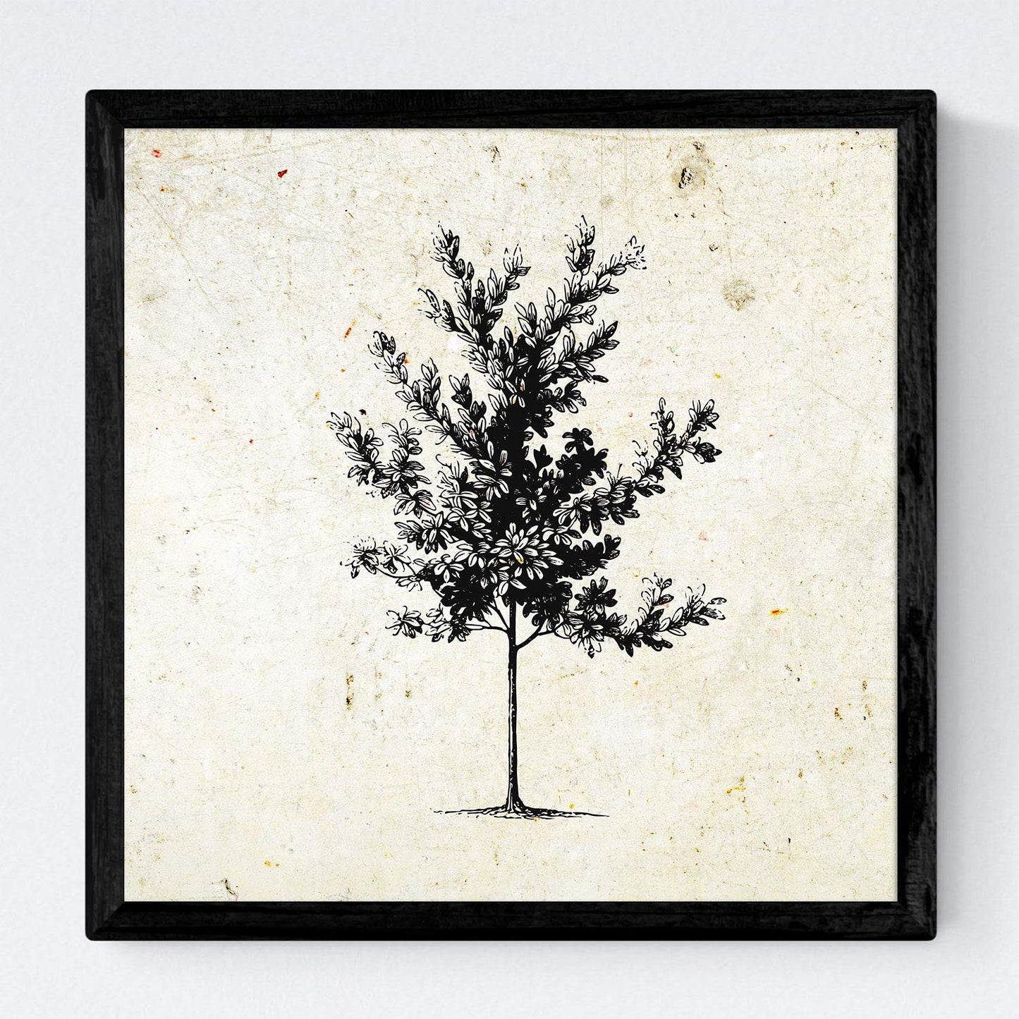 Set de cuatro láminas de arboles. Arboles medianos tronco fino en cm, fondo papel antiguo vintage .-Artwork-Nacnic-Nacnic Estudio SL