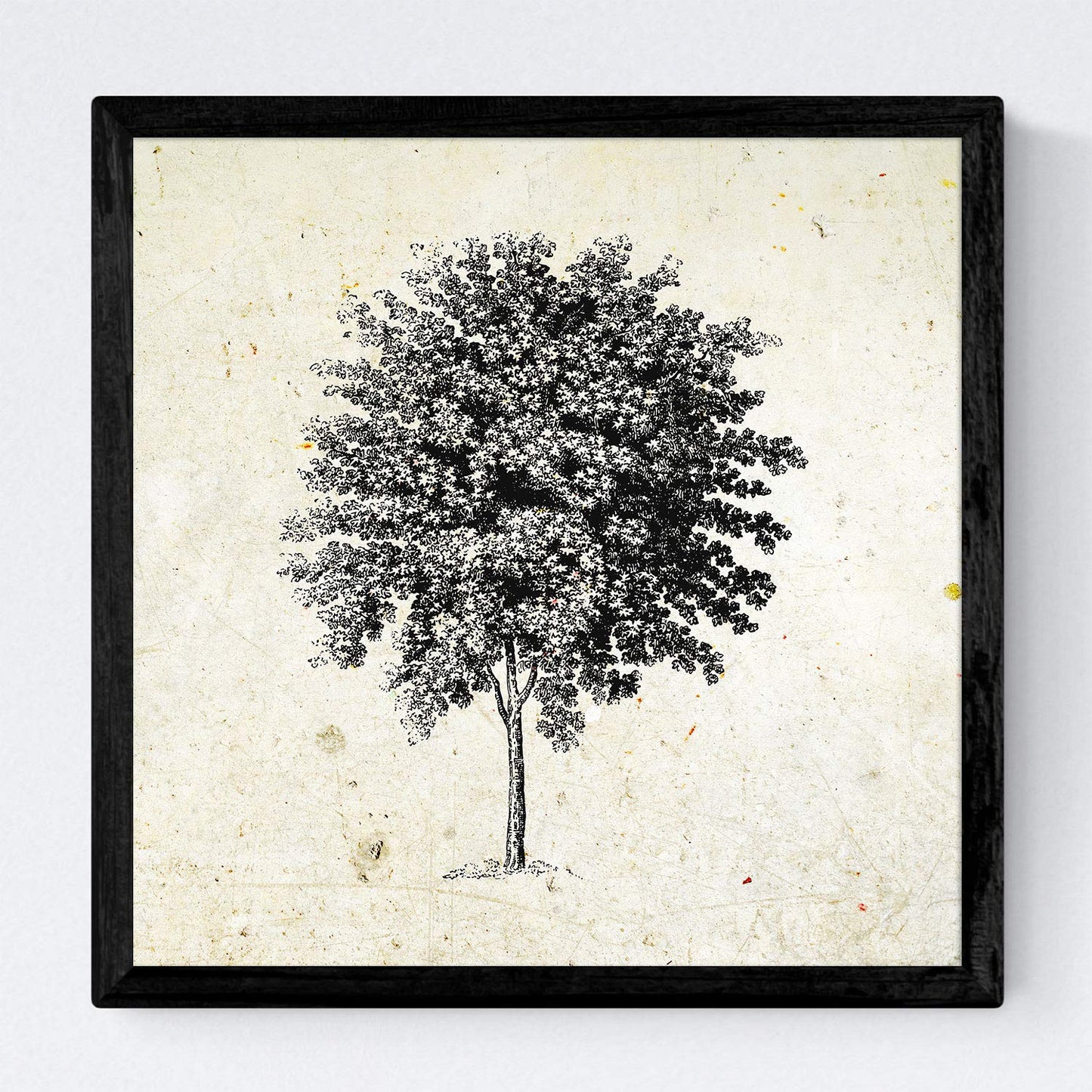 Set de cuatro láminas de arboles. Arboles medianos tronco fino en cm, fondo papel antiguo vintage .-Artwork-Nacnic-Nacnic Estudio SL