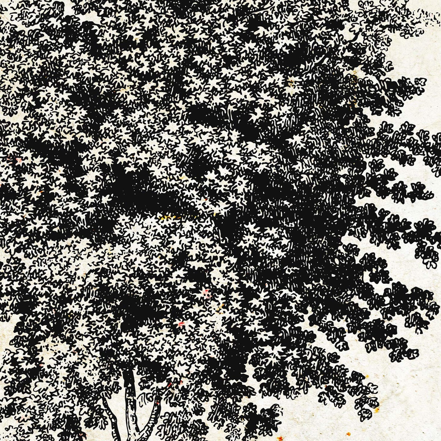 Set de cuatro láminas de arboles. Arboles medianos tronco fino en cm, fondo papel antiguo vintage .-Artwork-Nacnic-Nacnic Estudio SL