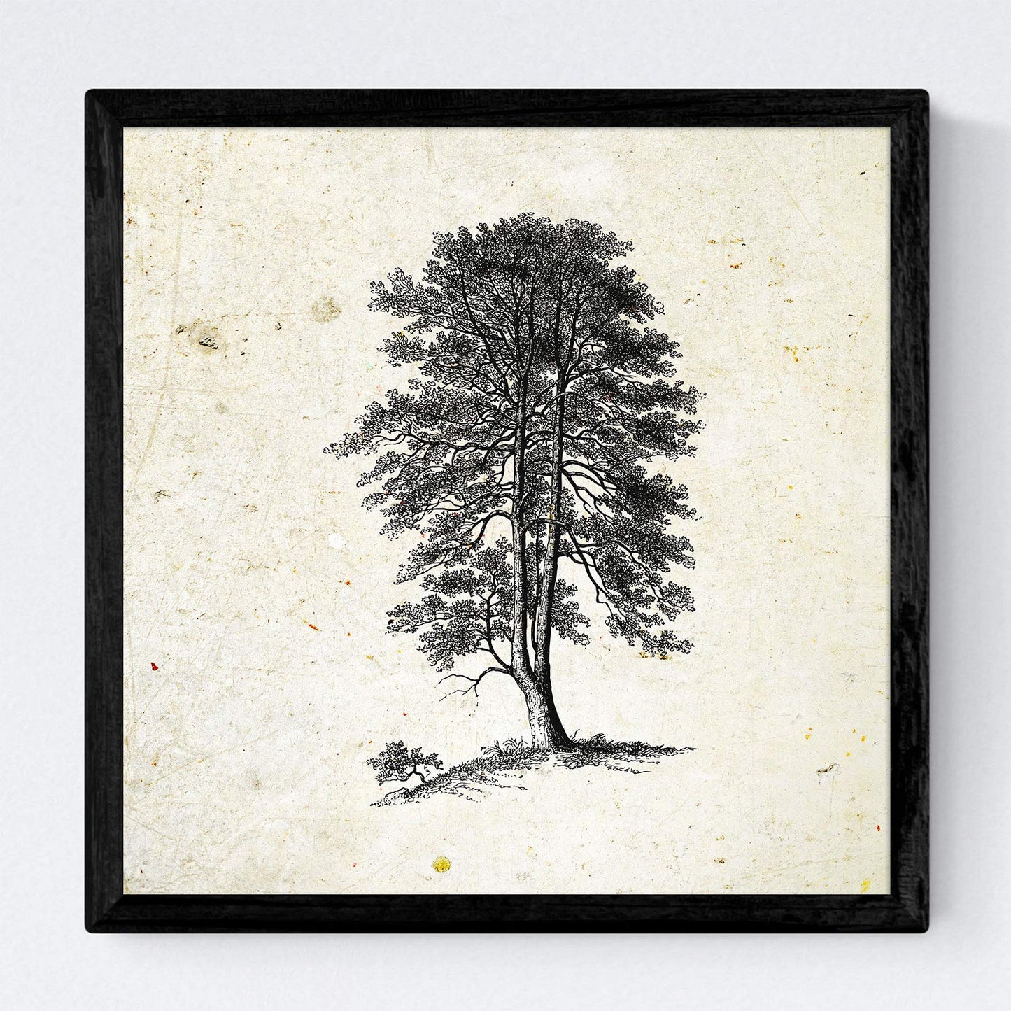 Set de cuatro láminas de arboles. Arboles mix en cm, fondo papel antiguo vintage.-Artwork-Nacnic-Nacnic Estudio SL