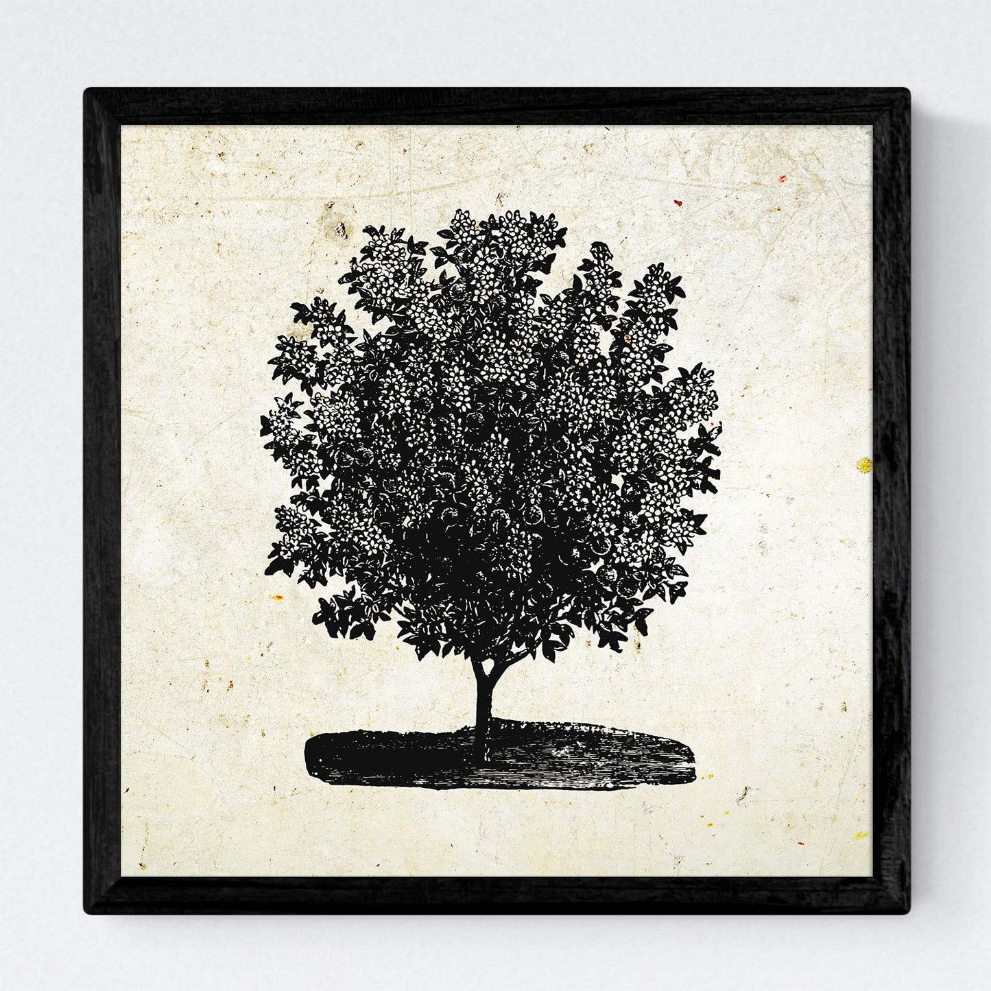 Set de cuatro láminas de arboles. Arboles mix en cm, fondo papel antiguo vintage.-Artwork-Nacnic-Nacnic Estudio SL