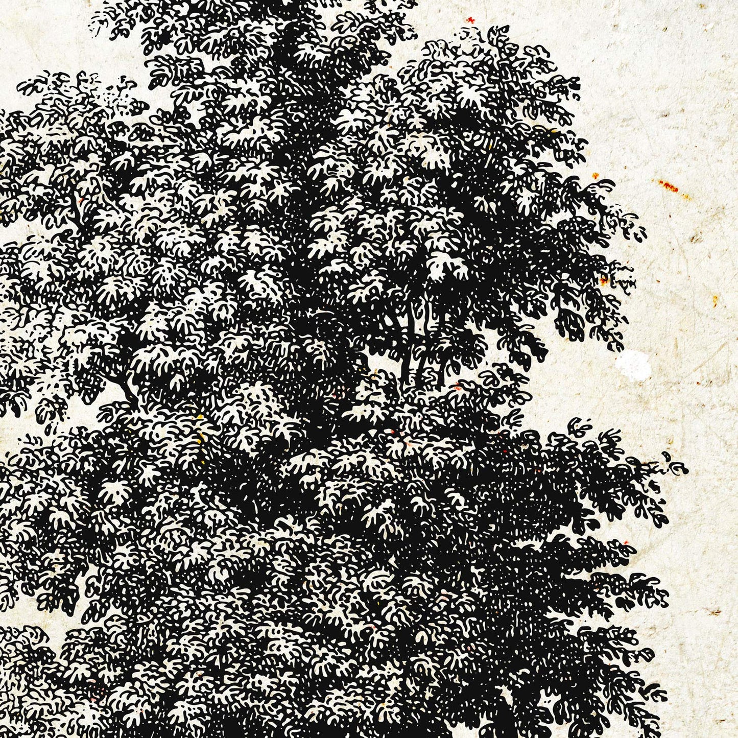 Set de cuatro láminas de arboles. Arboles mix en cm, fondo papel antiguo vintage.-Artwork-Nacnic-Nacnic Estudio SL