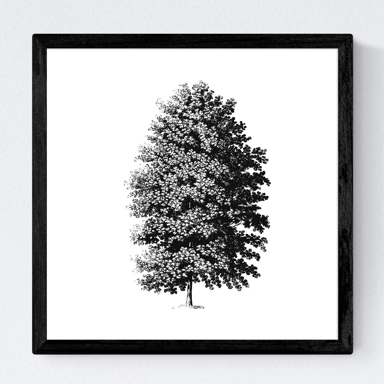 Set de cuatro láminas de arboles. Arboles muy fondosos en cm, fondo blanco-Artwork-Nacnic-Nacnic Estudio SL