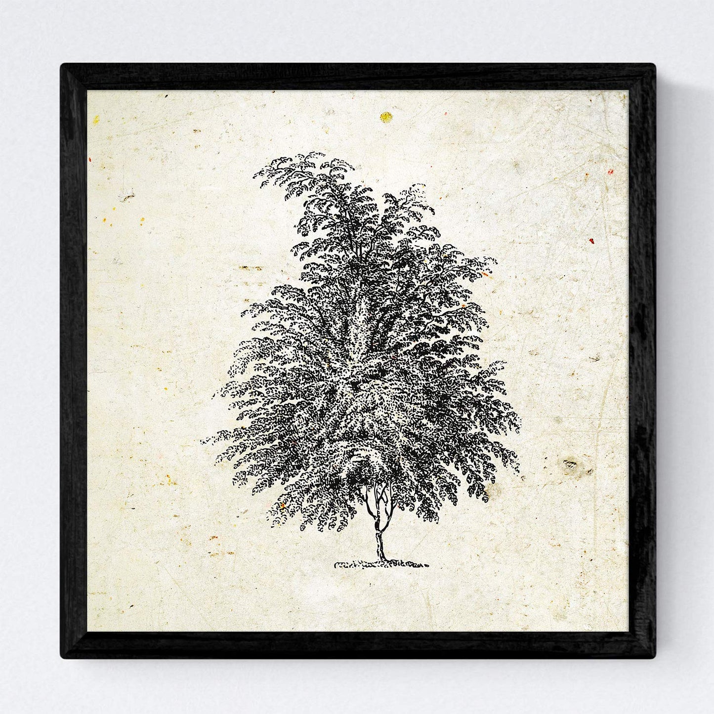 Set de cuatro láminas de arboles. Arboles muy fondosos en cm, fondo papel antiguo vintage.-Artwork-Nacnic-Nacnic Estudio SL