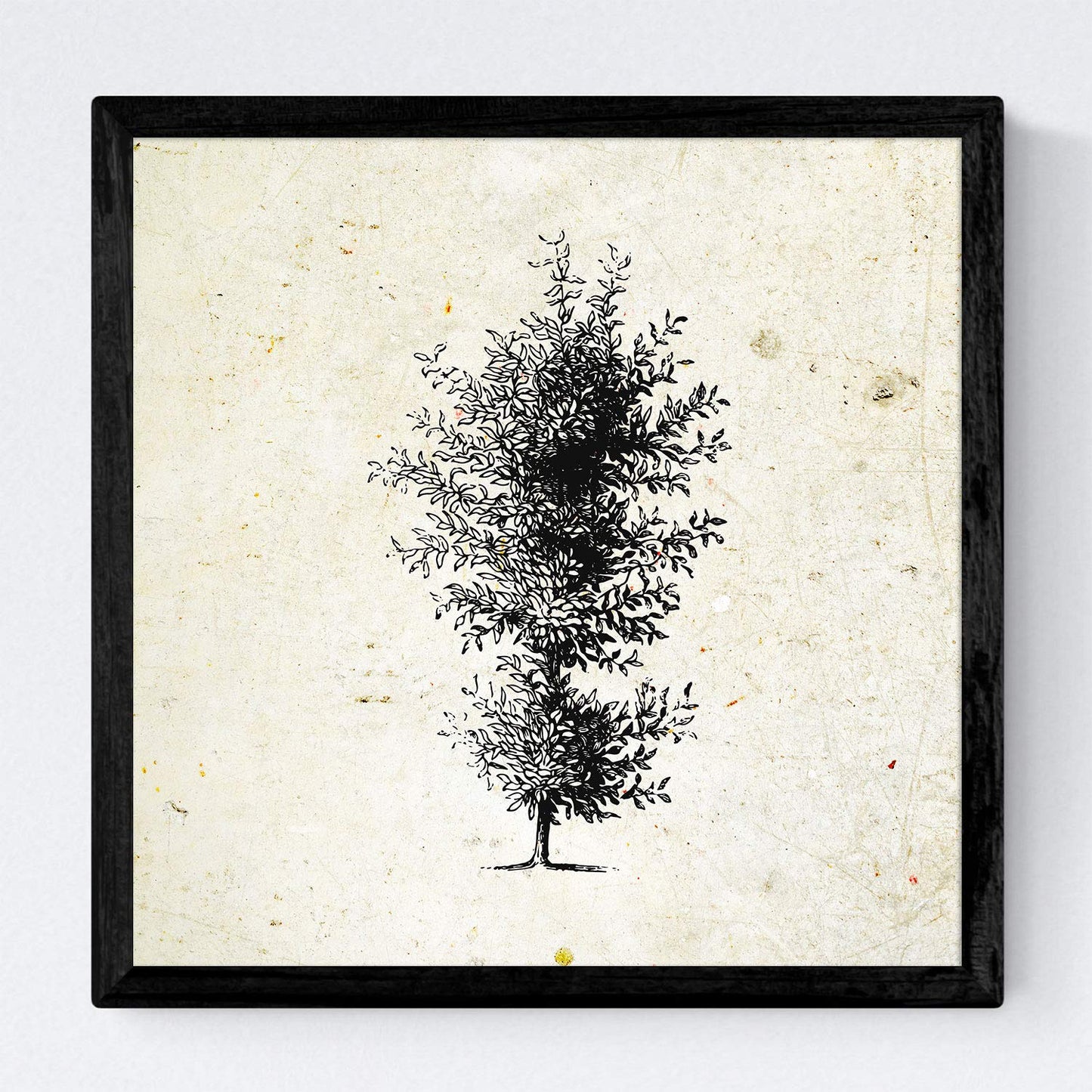 Set de cuatro láminas de arboles. Arboles ornamentales en cm, fondo papel antiguo vintage Poster papel 250 gr.-Artwork-Nacnic-Nacnic Estudio SL