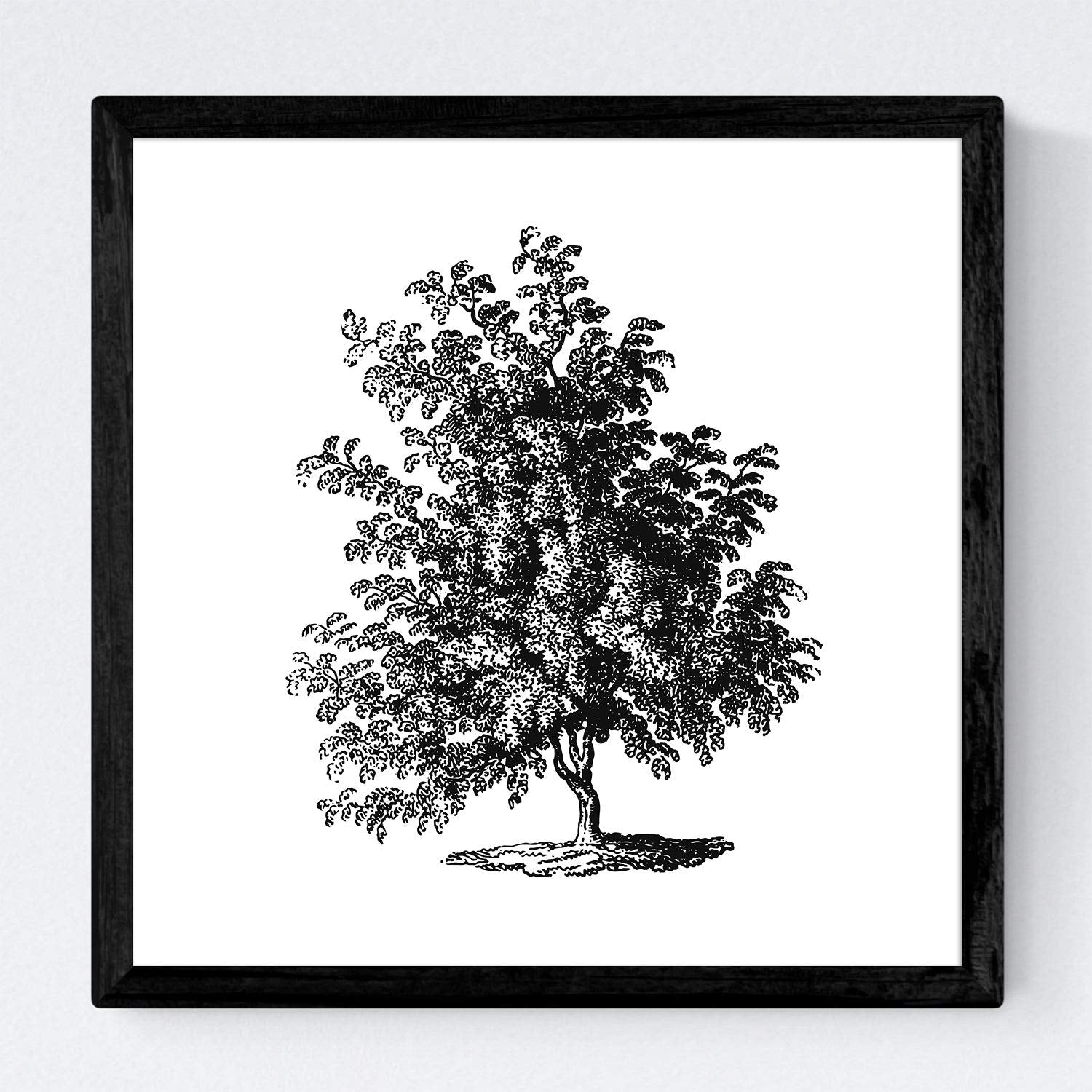 Set de cuatro láminas de arboles. Arboles ramas frondosas en cm, fondo blanco .-Artwork-Nacnic-Nacnic Estudio SL