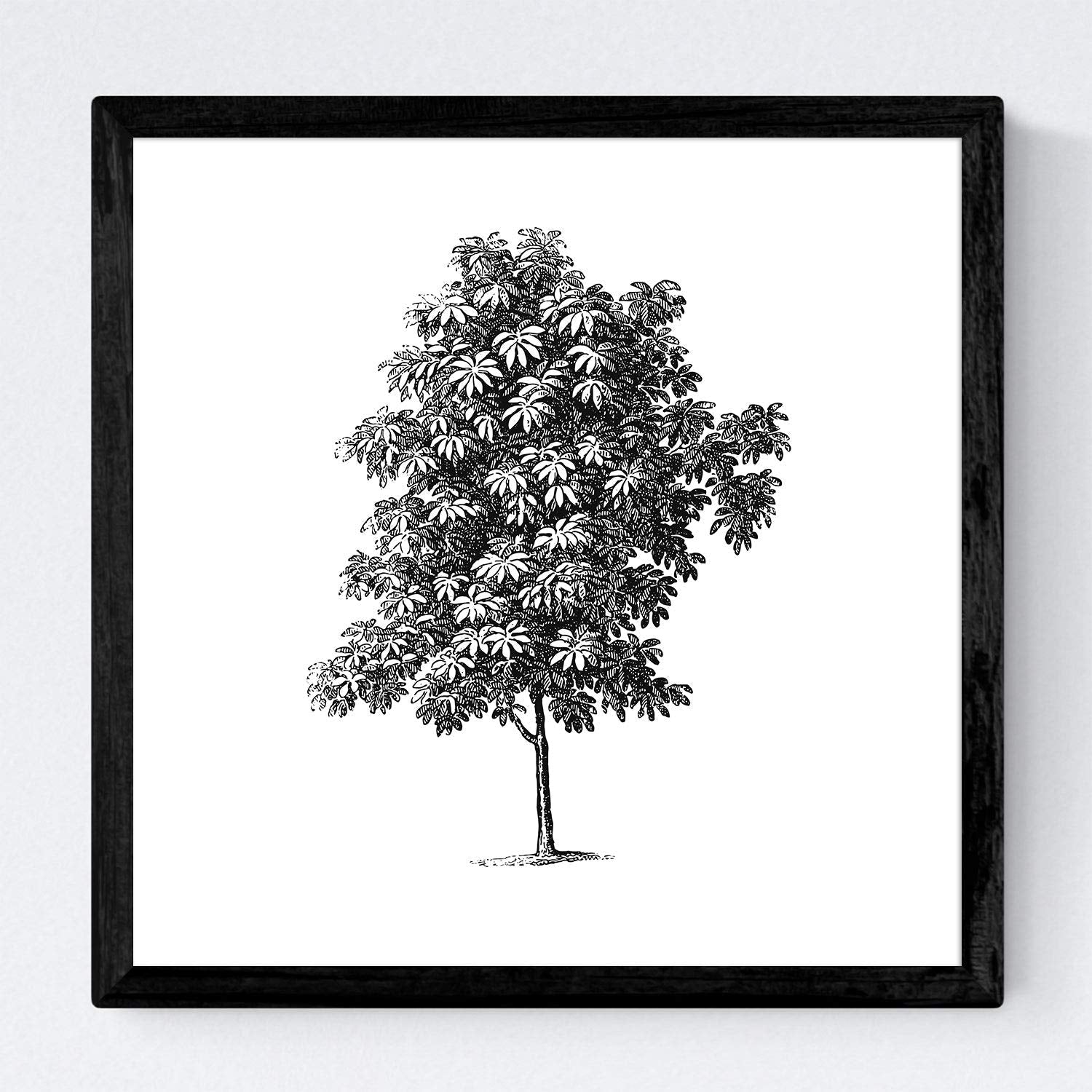 Set de cuatro láminas de arboles. Arboles ramas frondosas en cm, fondo blanco .-Artwork-Nacnic-Nacnic Estudio SL