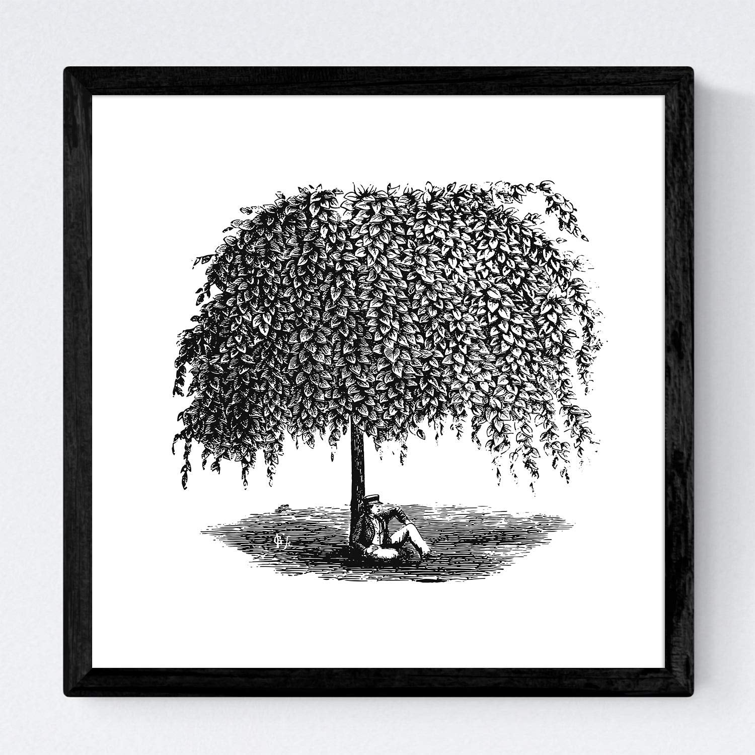 Set de cuatro láminas de arboles. Arboles sauces en cm, fondo blanco Poster papel 250 gr.-Artwork-Nacnic-Nacnic Estudio SL