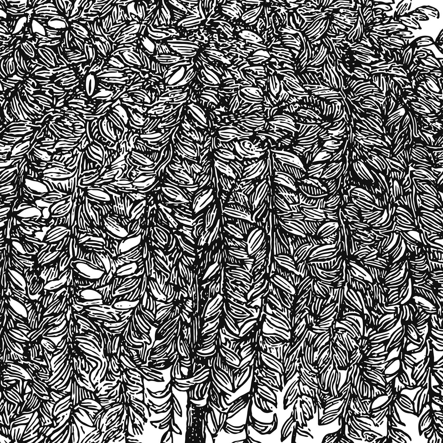 Set de cuatro láminas de arboles. Arboles sauces en cm, fondo blanco Poster papel 250 gr.-Artwork-Nacnic-Nacnic Estudio SL