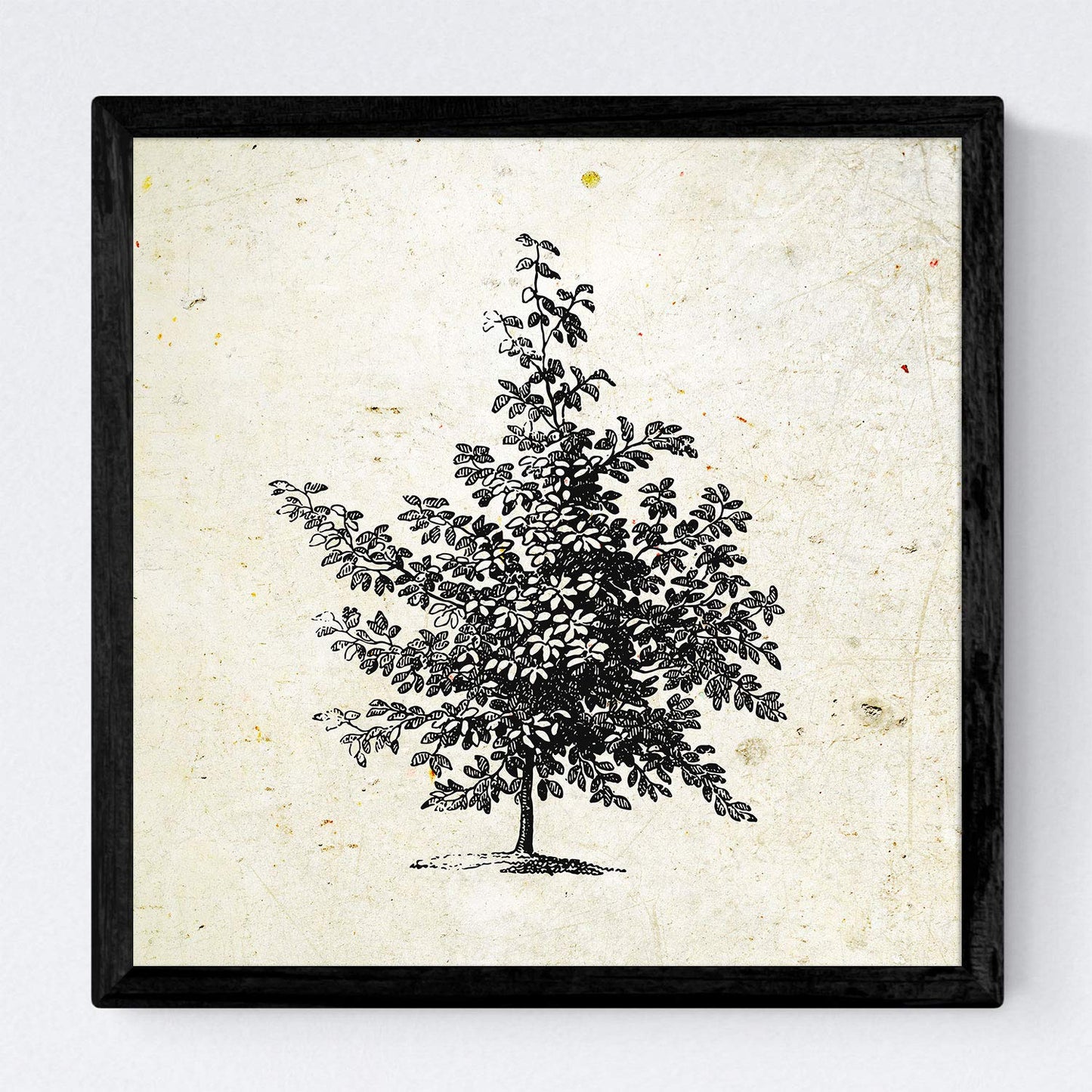 Set de cuatro láminas de arboles. Arboles sin flores en cm, fondo papel antiguo vintage .-Artwork-Nacnic-Nacnic Estudio SL
