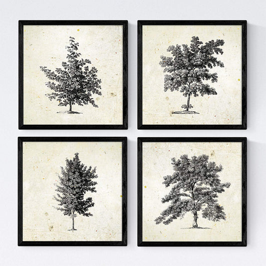 Set de cuatro láminas de arboles. Arboles sin flores en cm, fondo papel antiguo vintage .-Artwork-Nacnic-Nacnic Estudio SL