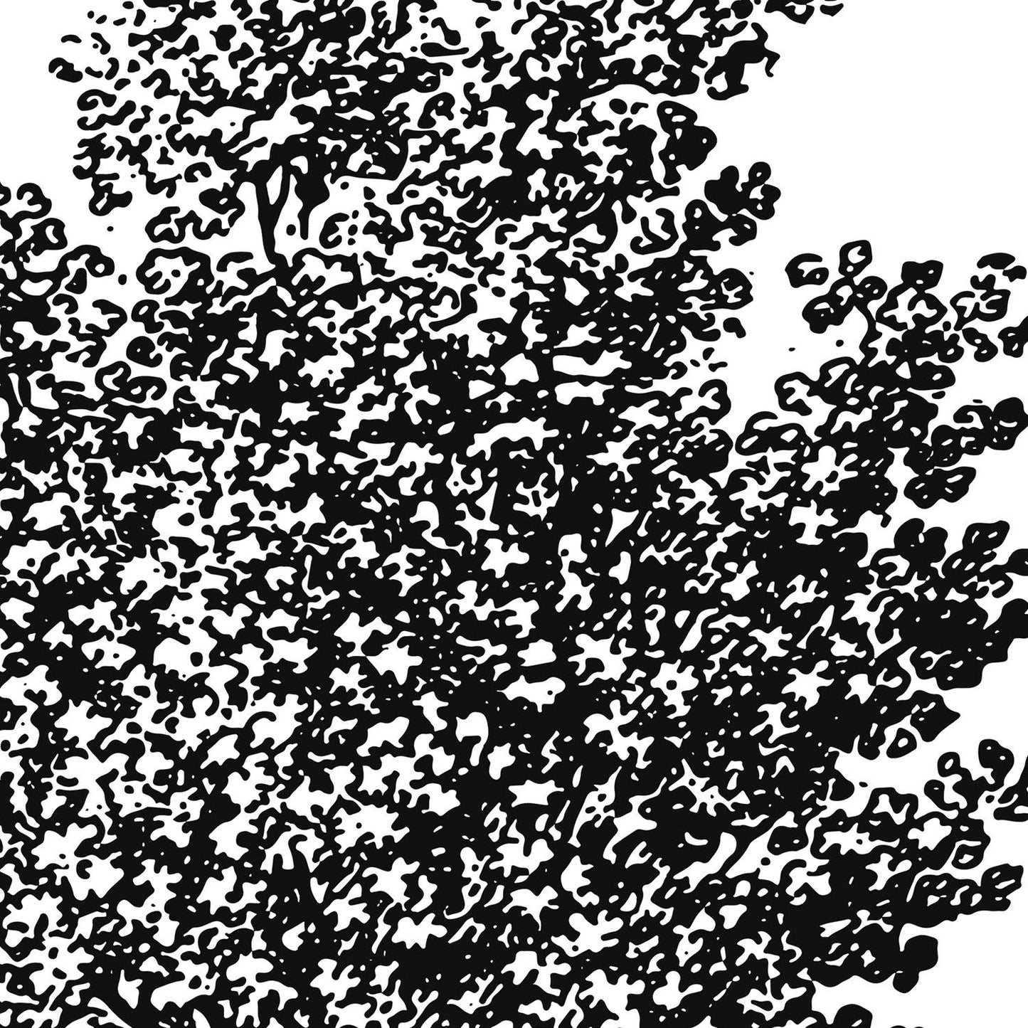 Set de cuatro láminas de arboles. Arboles sin frutos en cm, fondo blanco .-Artwork-Nacnic-Nacnic Estudio SL