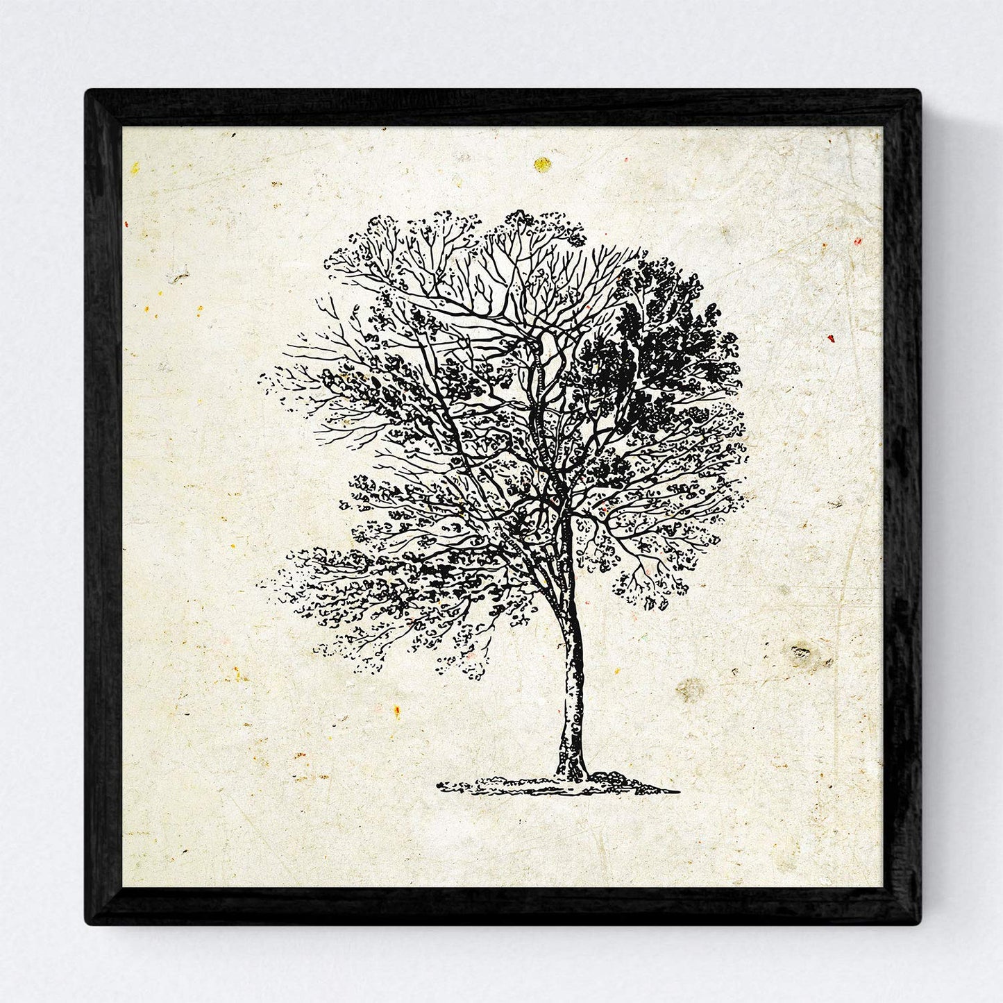 Set de cuatro láminas de arboles. Arboles sin frutos en cm, fondo papel antiguo vintage.-Artwork-Nacnic-Nacnic Estudio SL