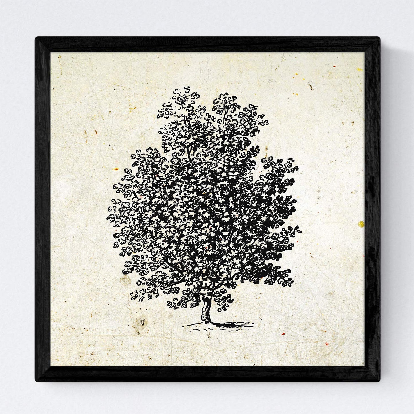 Set de cuatro láminas de arboles. Arboles sin frutos en cm, fondo papel antiguo vintage.-Artwork-Nacnic-Nacnic Estudio SL