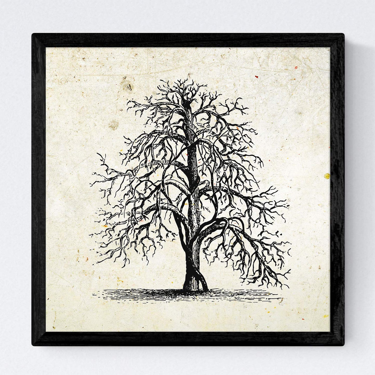 Set de cuatro láminas de arboles. Arboles sin frutos en cm, fondo papel antiguo vintage.-Artwork-Nacnic-Nacnic Estudio SL