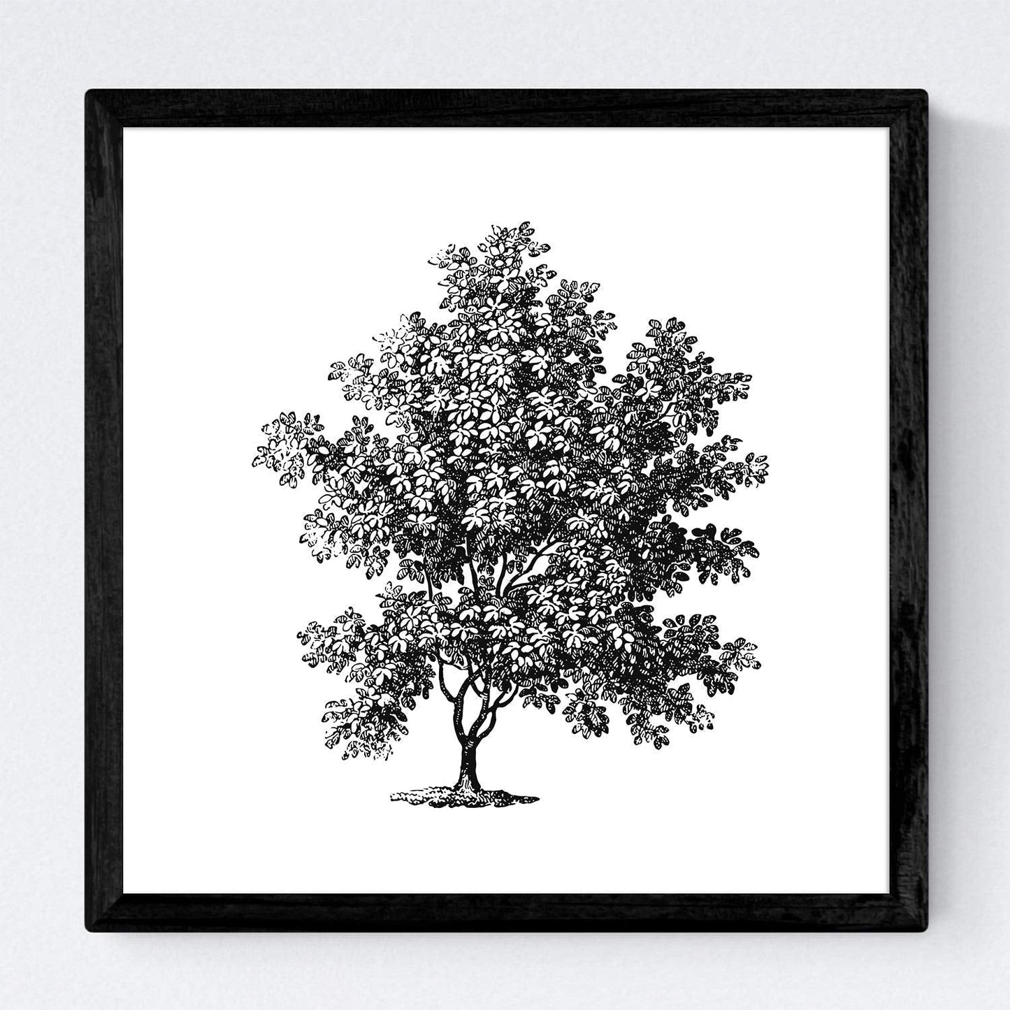 Set de cuatro láminas de arboles. Arboles sin y con hoja en cm, fondo papel antiguo vintage .-Artwork-Nacnic-Nacnic Estudio SL