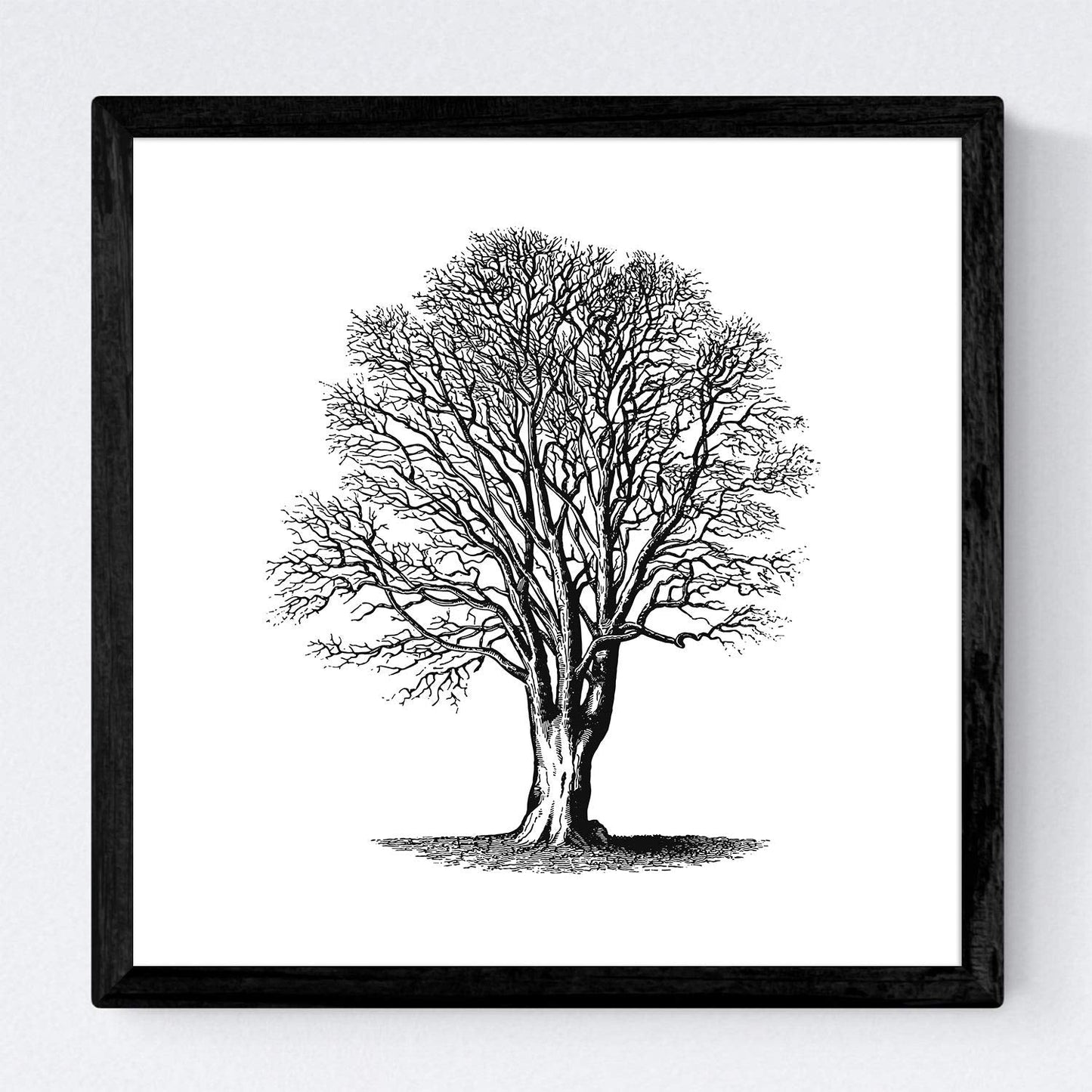 Set de cuatro láminas de arboles. Arboles sin y con hoja en cm, fondo papel antiguo vintage .-Artwork-Nacnic-Nacnic Estudio SL