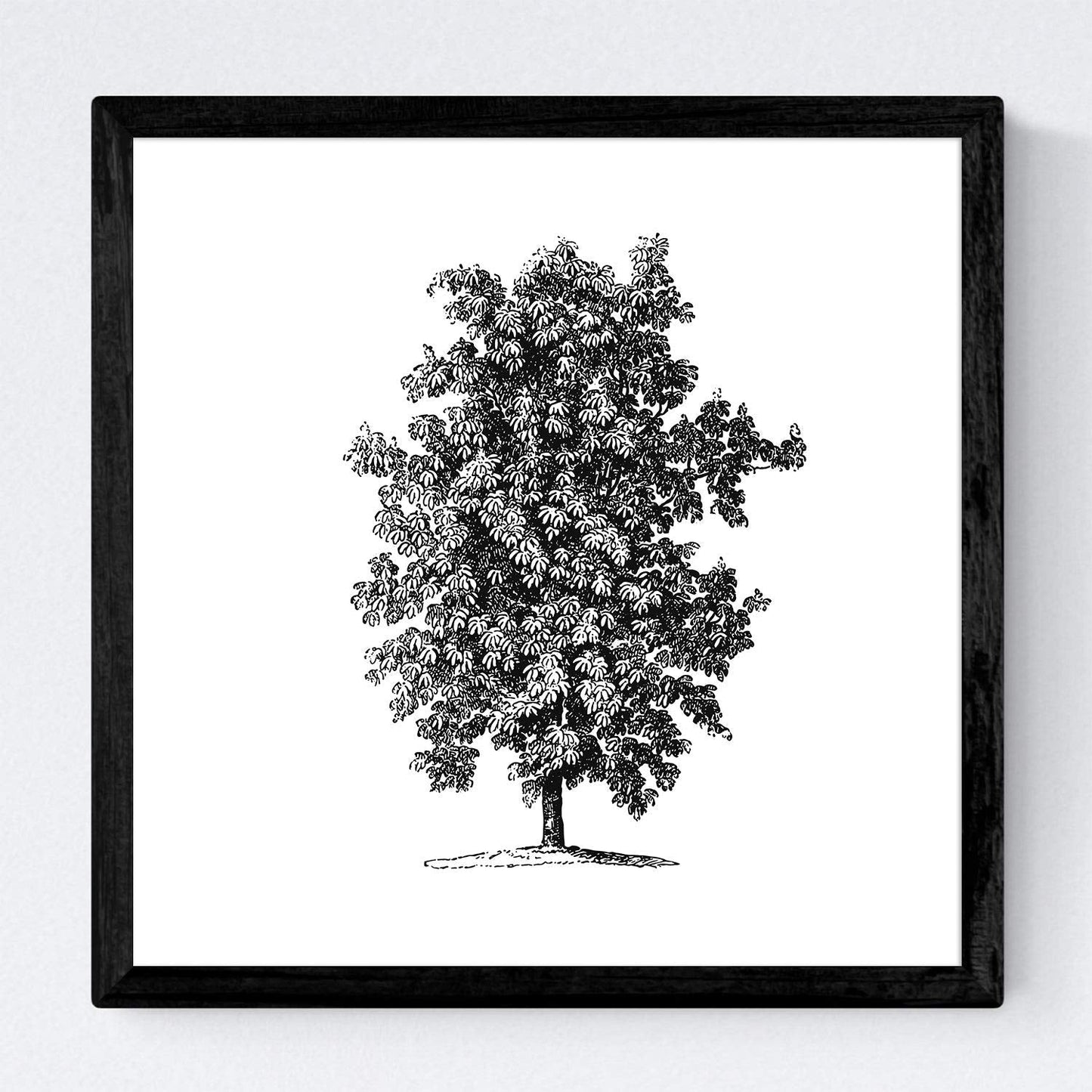 Set de cuatro láminas de arboles. Arboles sin y con hoja en cm, fondo papel antiguo vintage .-Artwork-Nacnic-Nacnic Estudio SL