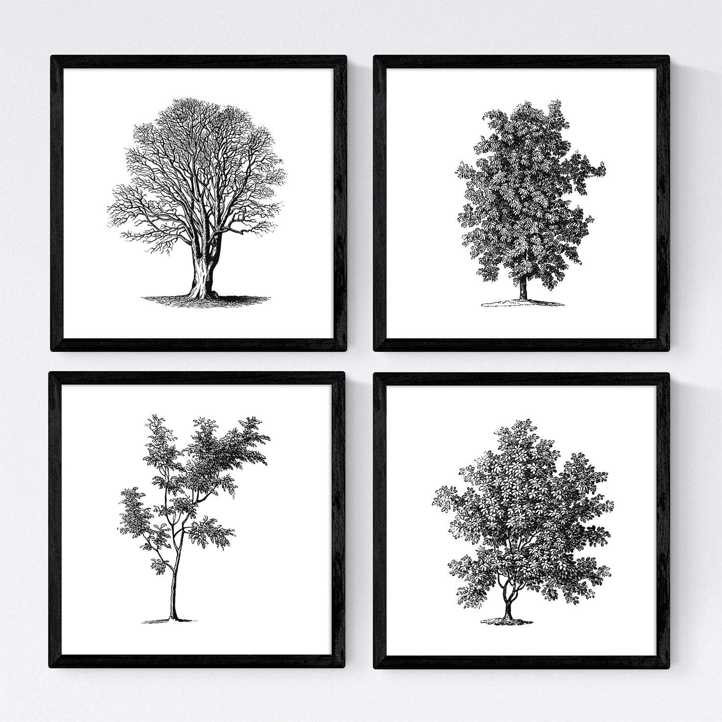 Set de cuatro láminas de arboles. Arboles sin y con hoja en cm, fondo papel antiguo vintage .-Artwork-Nacnic-Nacnic Estudio SL