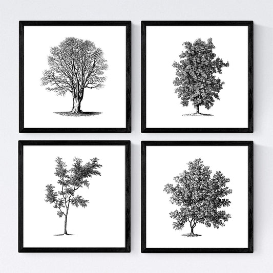 Set de cuatro láminas de arboles. Arboles sin y con hoja en cm, fondo papel antiguo vintage .-Artwork-Nacnic-Nacnic Estudio SL