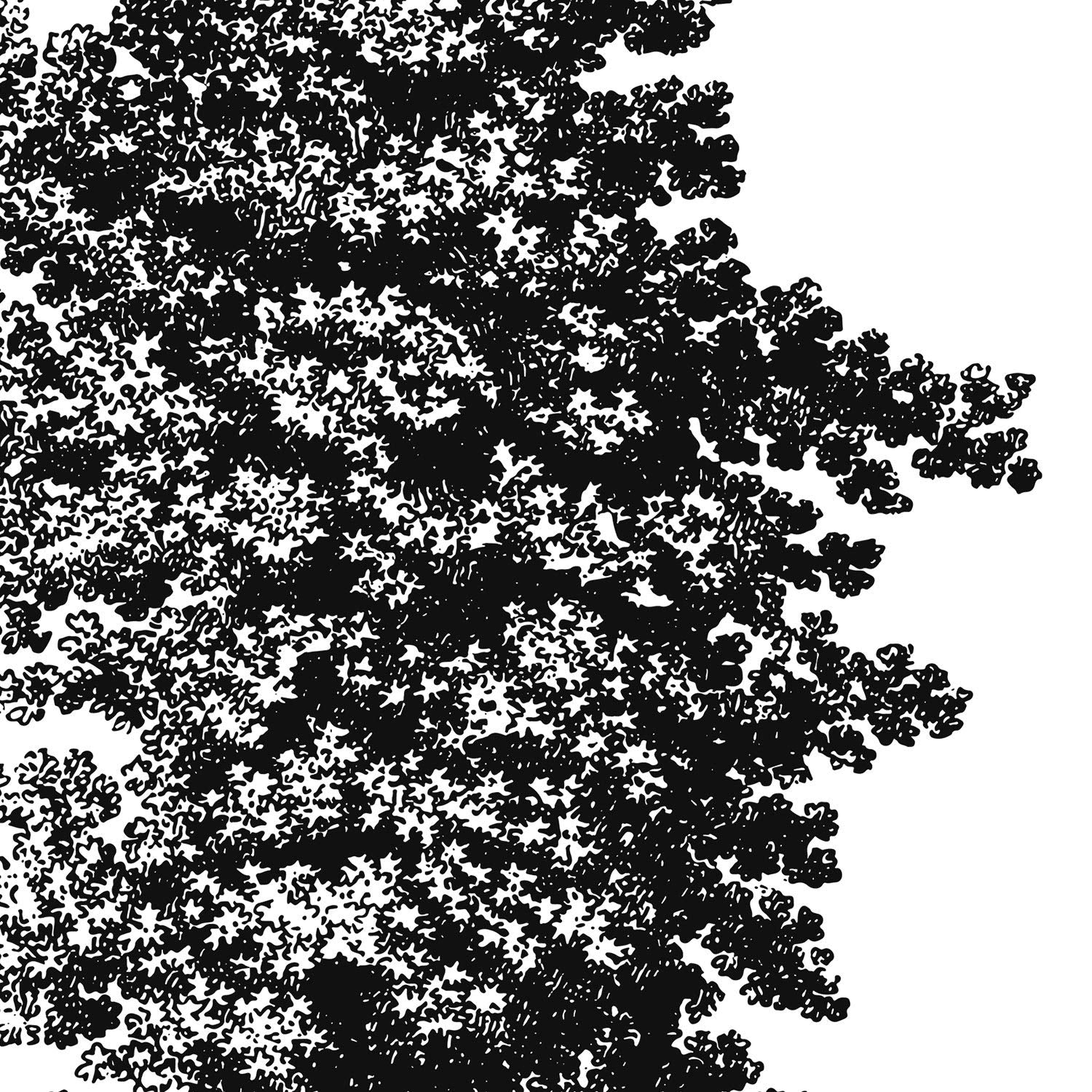 Set de cuatro láminas de arboles. Arboles talla alta en cm, fondo blanco .-Artwork-Nacnic-Nacnic Estudio SL