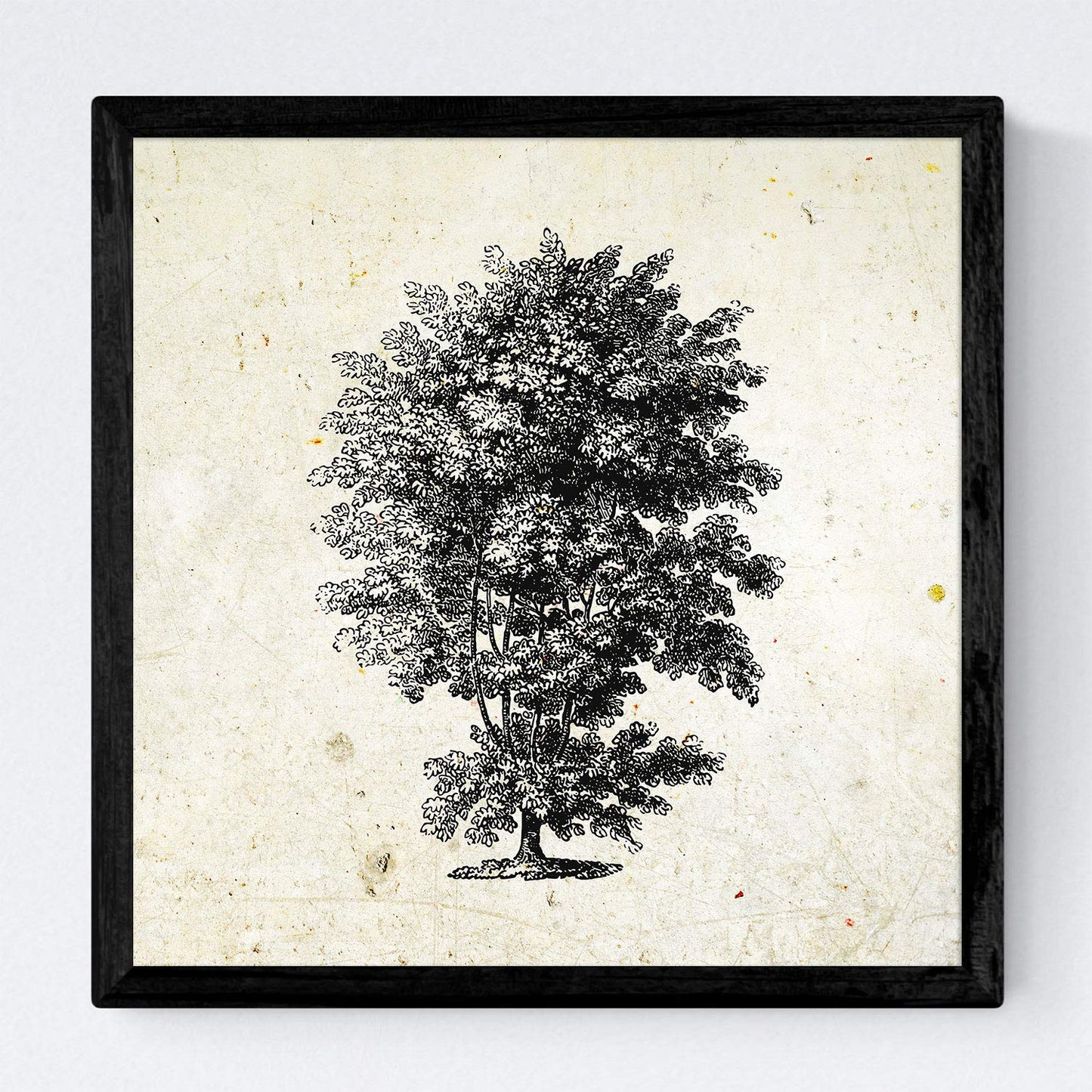 Set de cuatro láminas de arboles. Arboles talla alta en cm, fondo papel antiguo vintage.-Artwork-Nacnic-Nacnic Estudio SL
