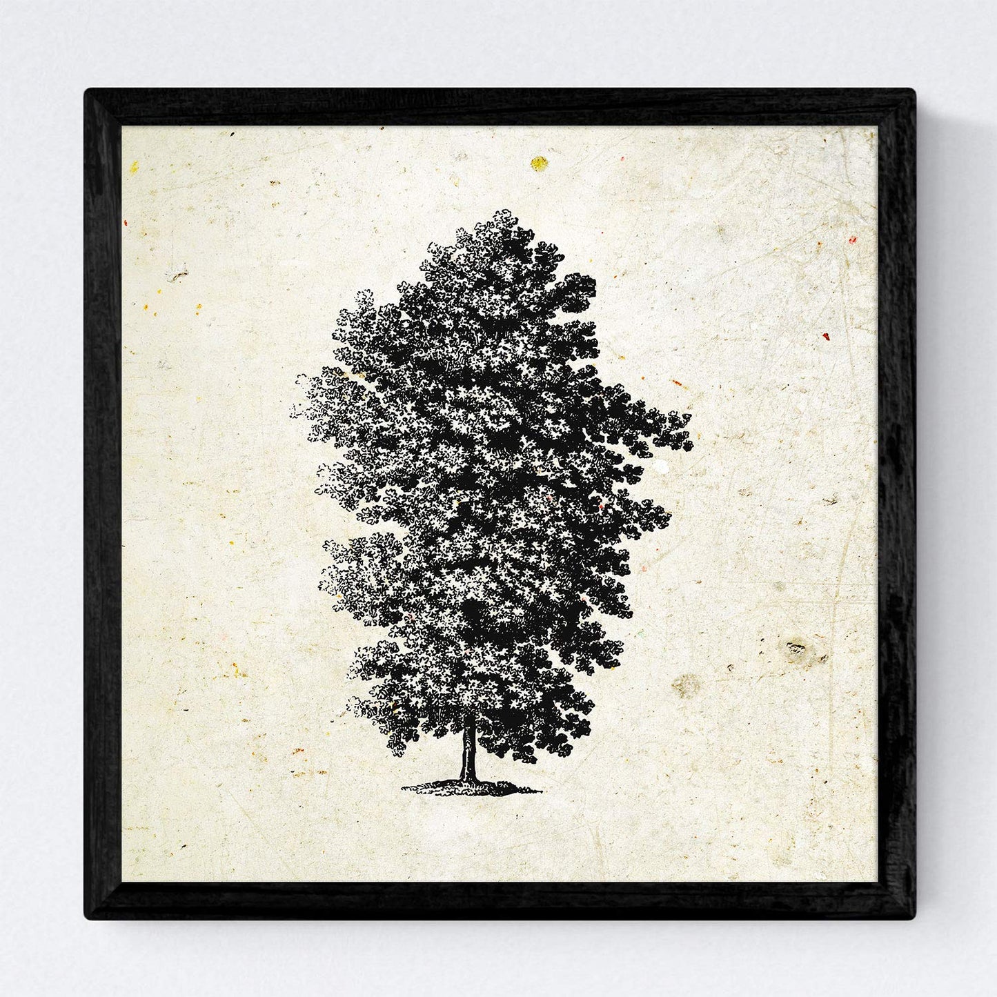 Set de cuatro láminas de arboles. Arboles talla alta en cm, fondo papel antiguo vintage.-Artwork-Nacnic-Nacnic Estudio SL