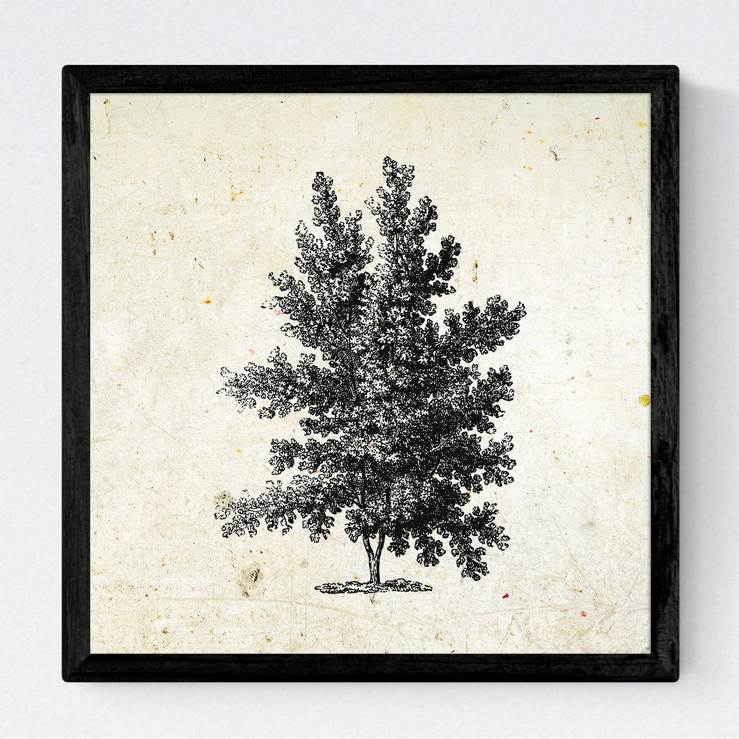 Set de cuatro láminas de arboles. Arboles talla alta en cm, fondo papel antiguo vintage.-Artwork-Nacnic-Nacnic Estudio SL