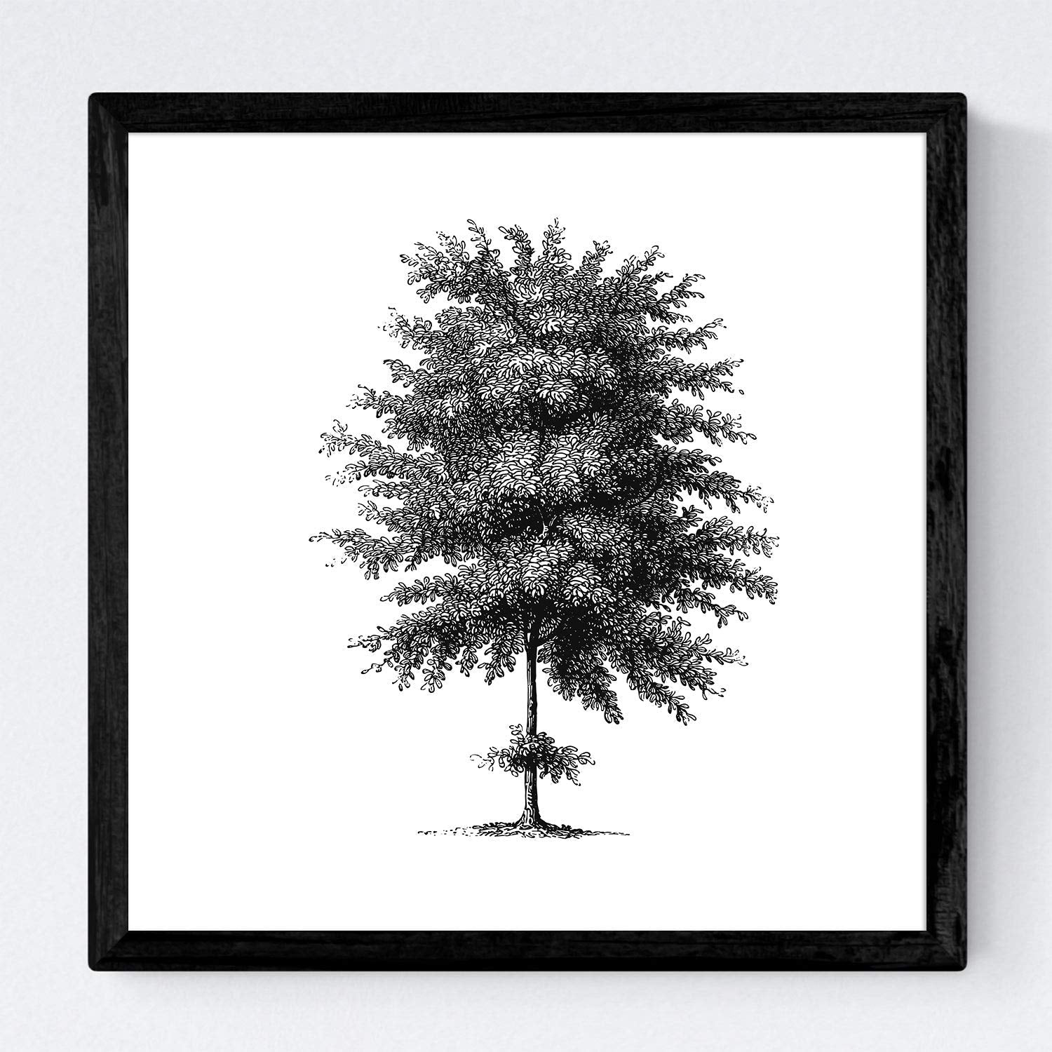 Set de cuatro láminas de arboles. Arboles tronco fino en cm, fondo blanco .-Artwork-Nacnic-Nacnic Estudio SL