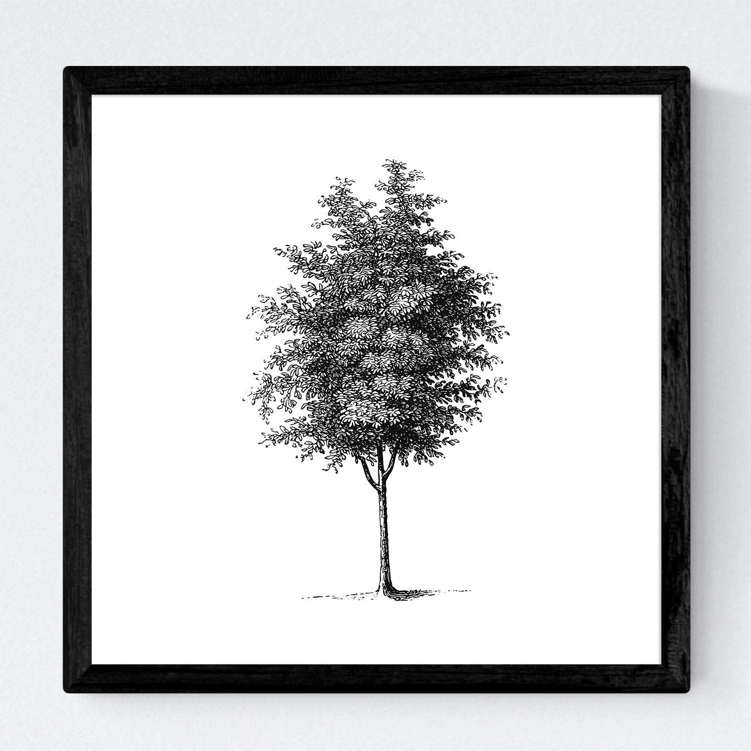 Set de cuatro láminas de arboles. Arboles tronco fino en cm, fondo blanco .-Artwork-Nacnic-Nacnic Estudio SL