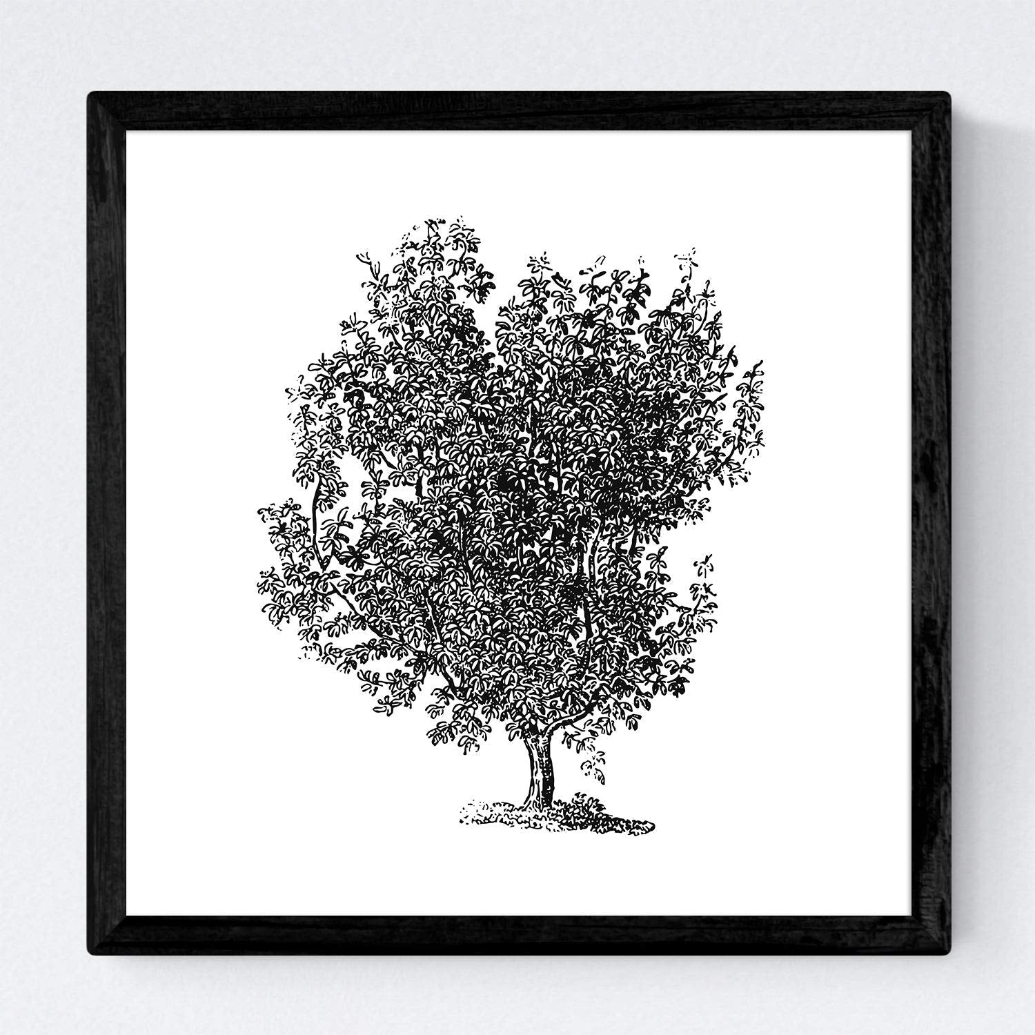 Set de cuatro láminas de arboles. Arboles troncos variados en cm, fondo blanco.-Artwork-Nacnic-Nacnic Estudio SL