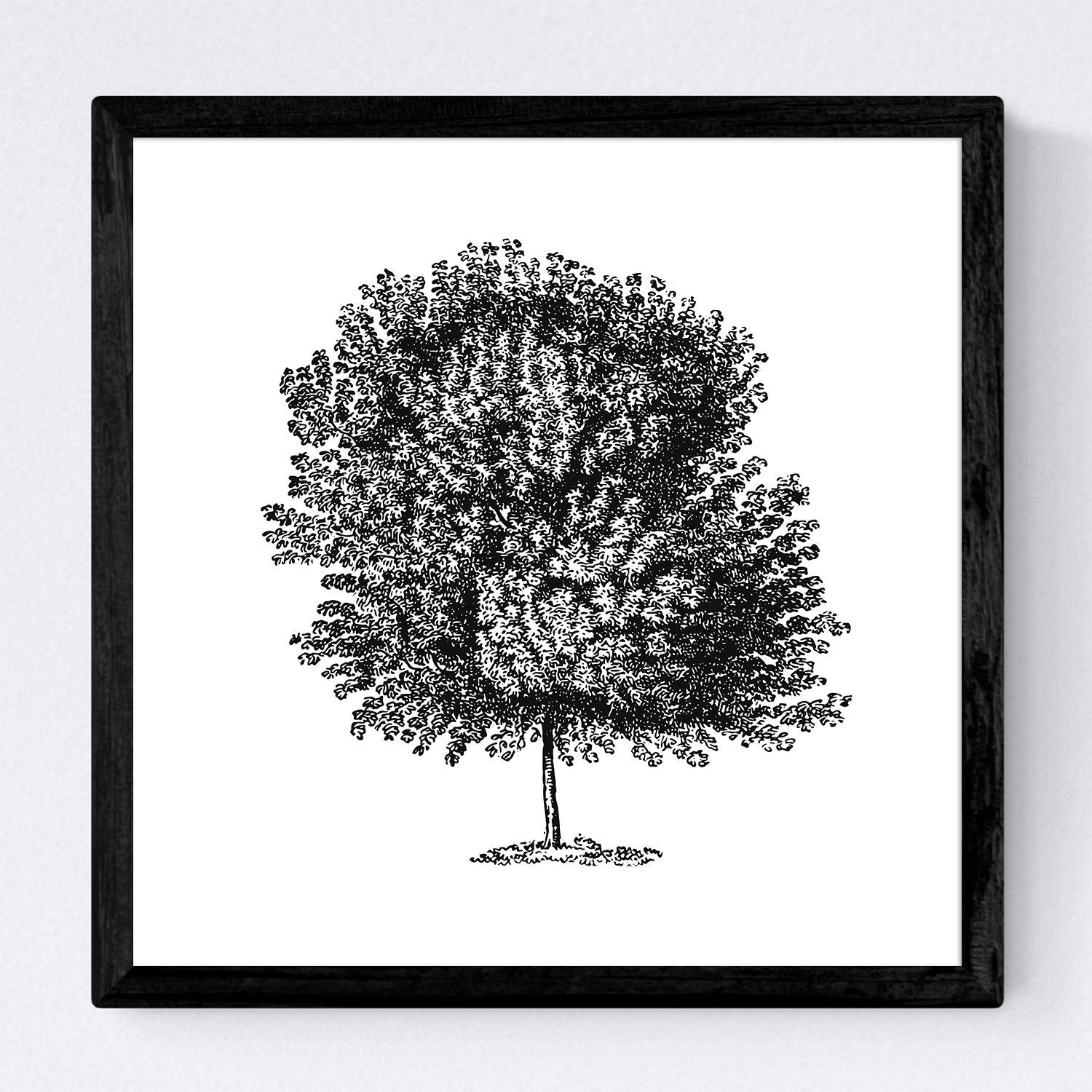 Set de cuatro láminas de arboles. Arboles troncos variados en cm, fondo blanco.-Artwork-Nacnic-Nacnic Estudio SL