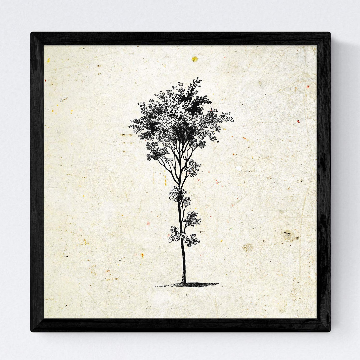 Set de cuatro láminas de arboles. Arboles troncos variados en cm, fondo papel antiguo vintage.-Artwork-Nacnic-Nacnic Estudio SL