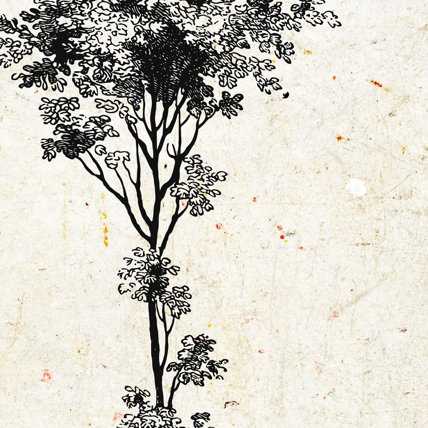 Set de cuatro láminas de arboles. Arboles troncos variados en cm, fondo papel antiguo vintage.-Artwork-Nacnic-Nacnic Estudio SL