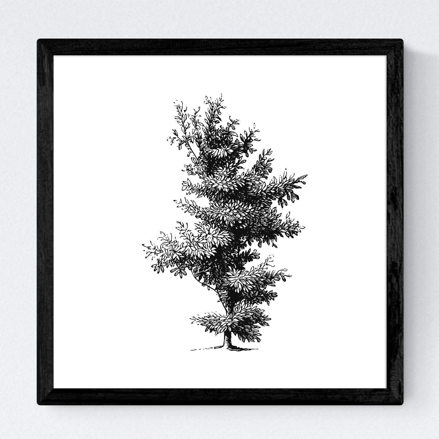 Set de cuatro láminas de arboles. Arboles variados en cm, fondo blanco .-Artwork-Nacnic-Nacnic Estudio SL