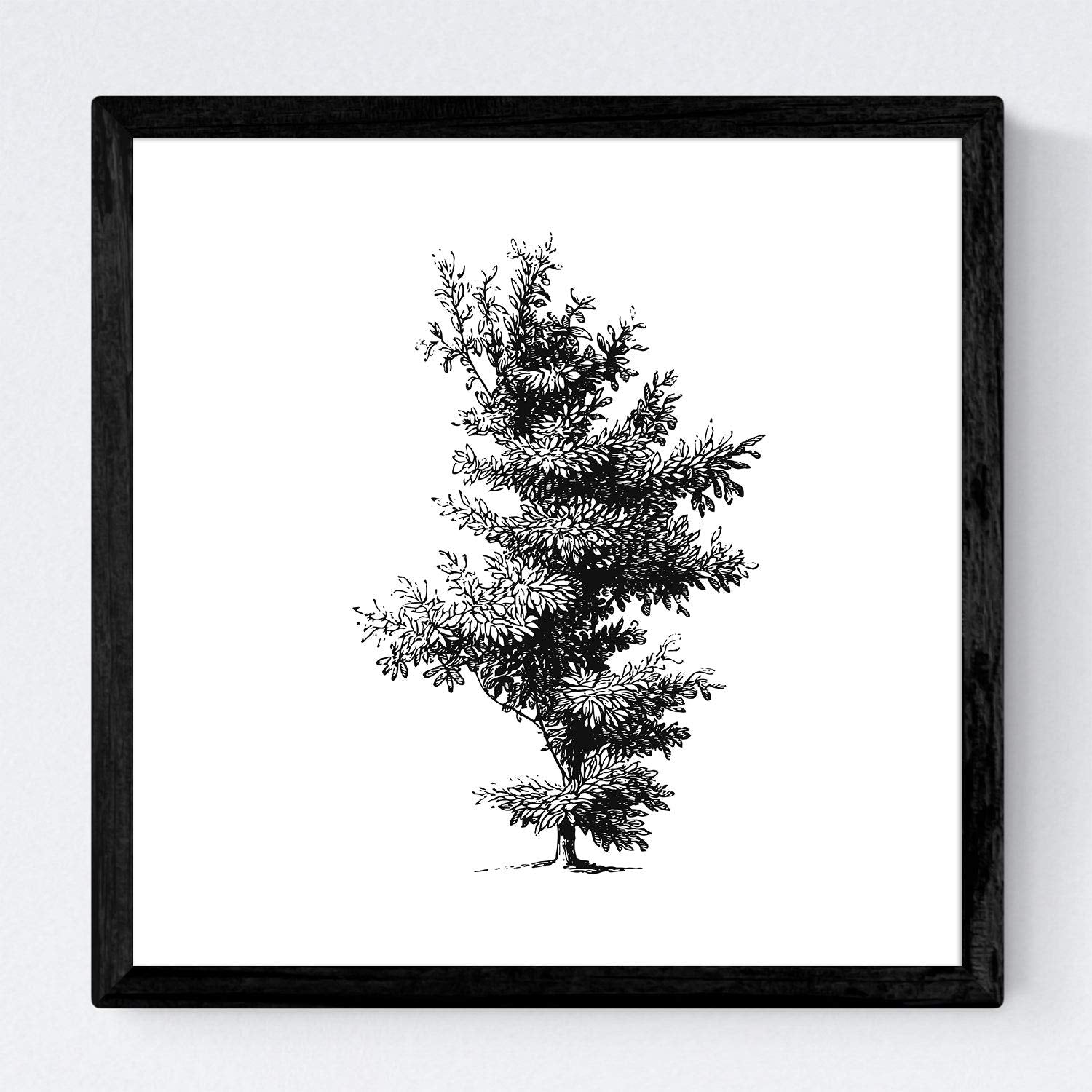 Set de cuatro láminas de arboles. Arboles variados en cm, fondo blanco .-Artwork-Nacnic-Nacnic Estudio SL