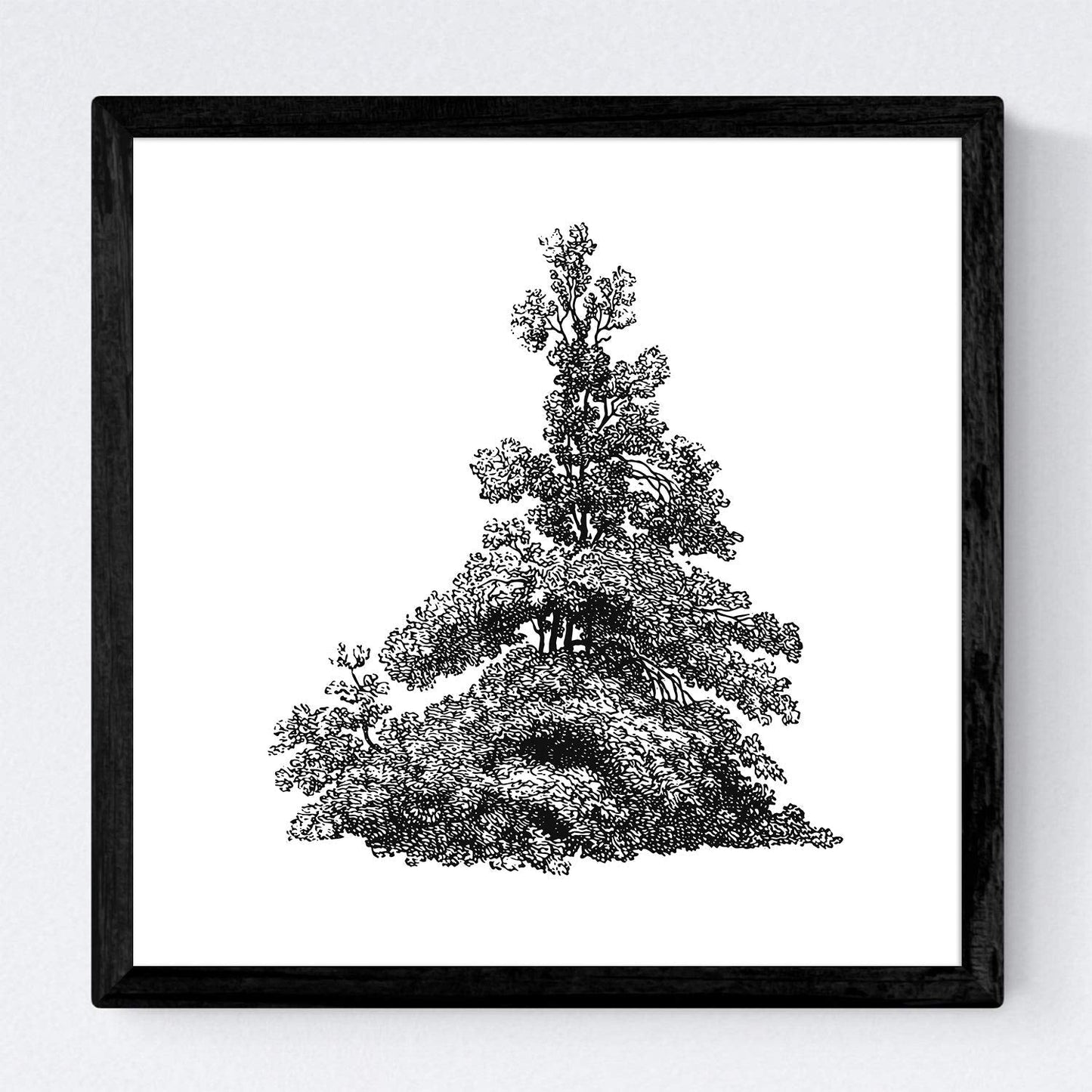 Set de cuatro láminas de arboles. Arboles y arbustos en cm, fondo blanco.-Artwork-Nacnic-Nacnic Estudio SL