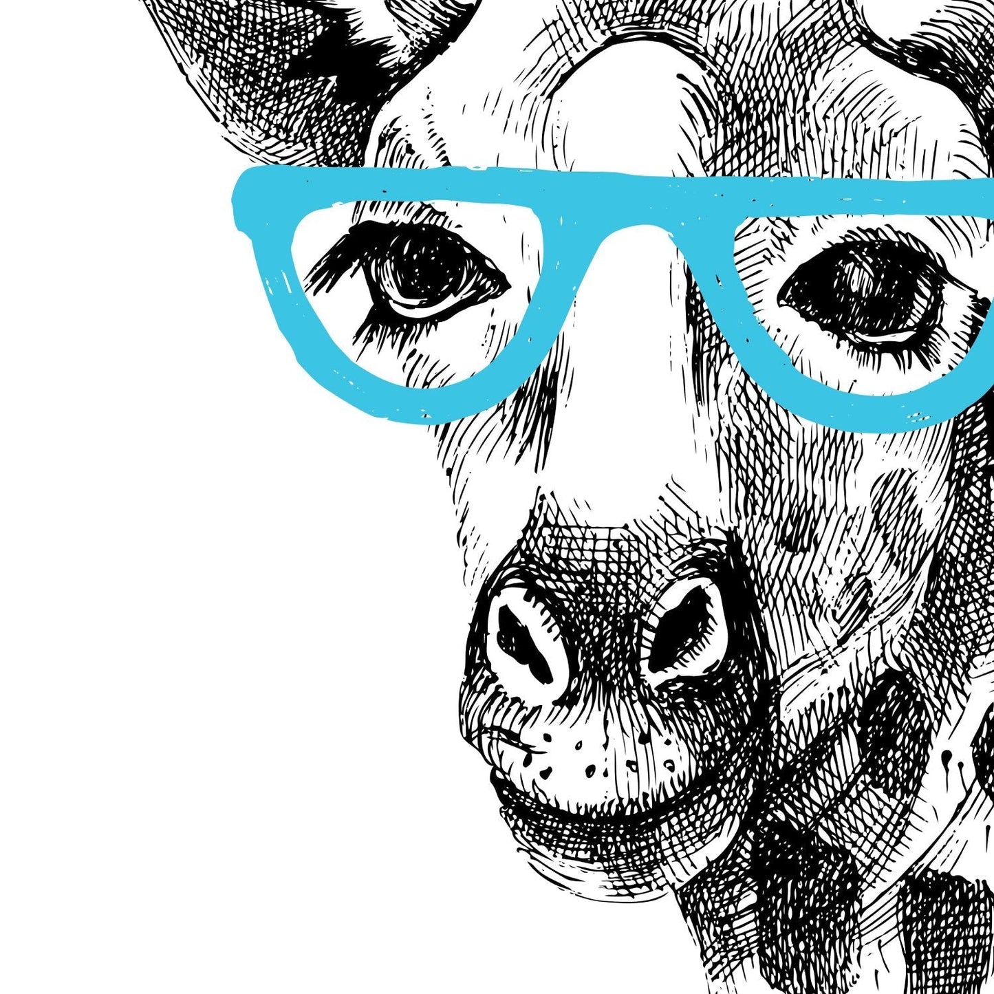 Set de dos láminas ANIMALES ILUSTRADOS. Pack de dos poster para enmarcar con ilustraciones de animales. alta calidad.-Artwork-Nacnic-Nacnic Estudio SL