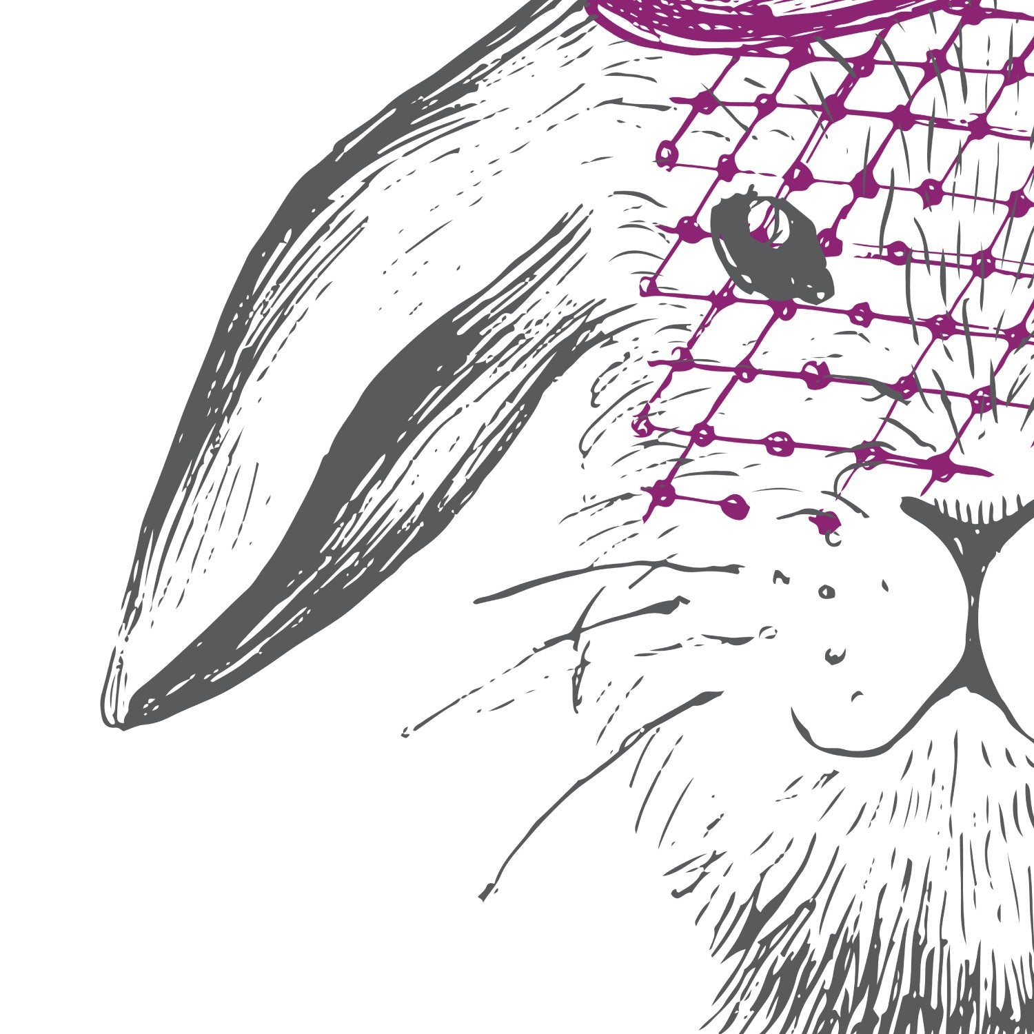 Set de dos láminas ANIMALES ILUSTRADOS. Pack de dos poster para enmarcar con ilustraciones de animales.-Artwork-Nacnic-Nacnic Estudio SL