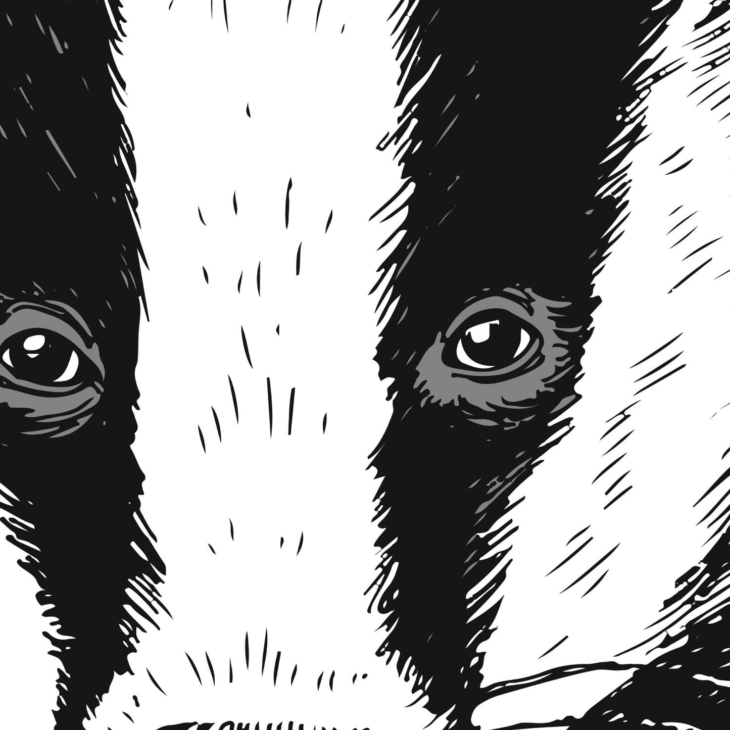 Set de dos láminas ANIMALES ILUSTRADOS. Pack de dos poster para enmarcar con ilustraciones de animales. Regalo para los amigos de los animales. Decoracion del hogar. Papel 250 gr. Nacnic-Artwork-Nacnic-Nacnic Estudio SL