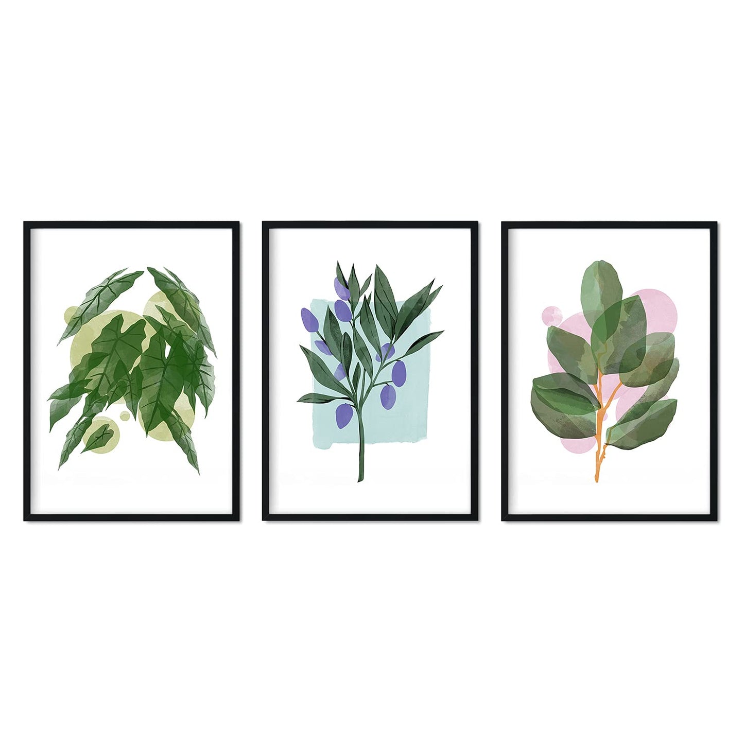 Set de láminas Hojas. Pósters con ilustraciones de plantas y flores en estilo acuarela.-Artwork-Nacnic-Nacnic Estudio SL