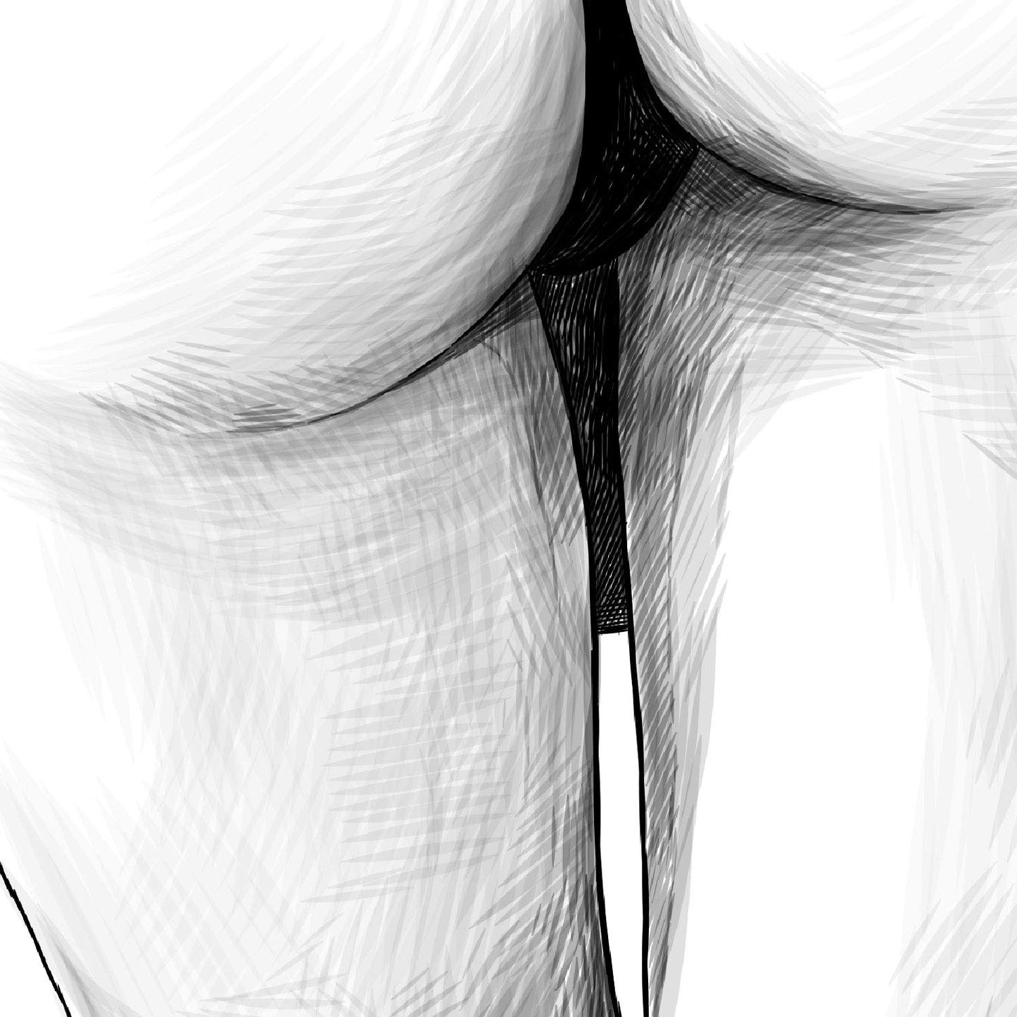 Set de posters eróticos. Láminas Espalda Culo dibujadas con imágenes sensuales del cuerpo femenino.-Artwork-Nacnic-Nacnic Estudio SL